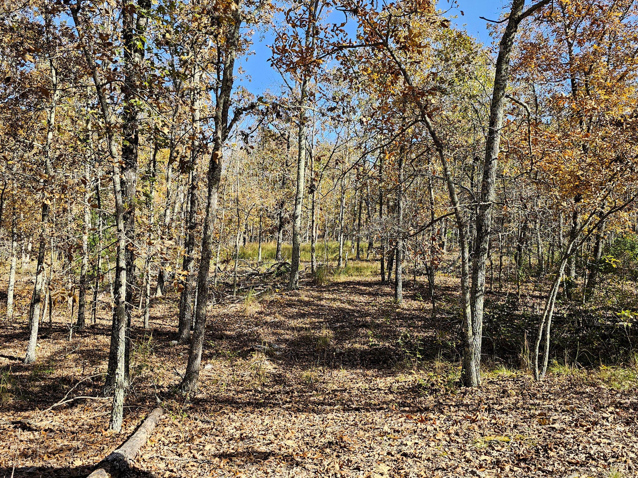 000 State Route Nn Property Photo 10