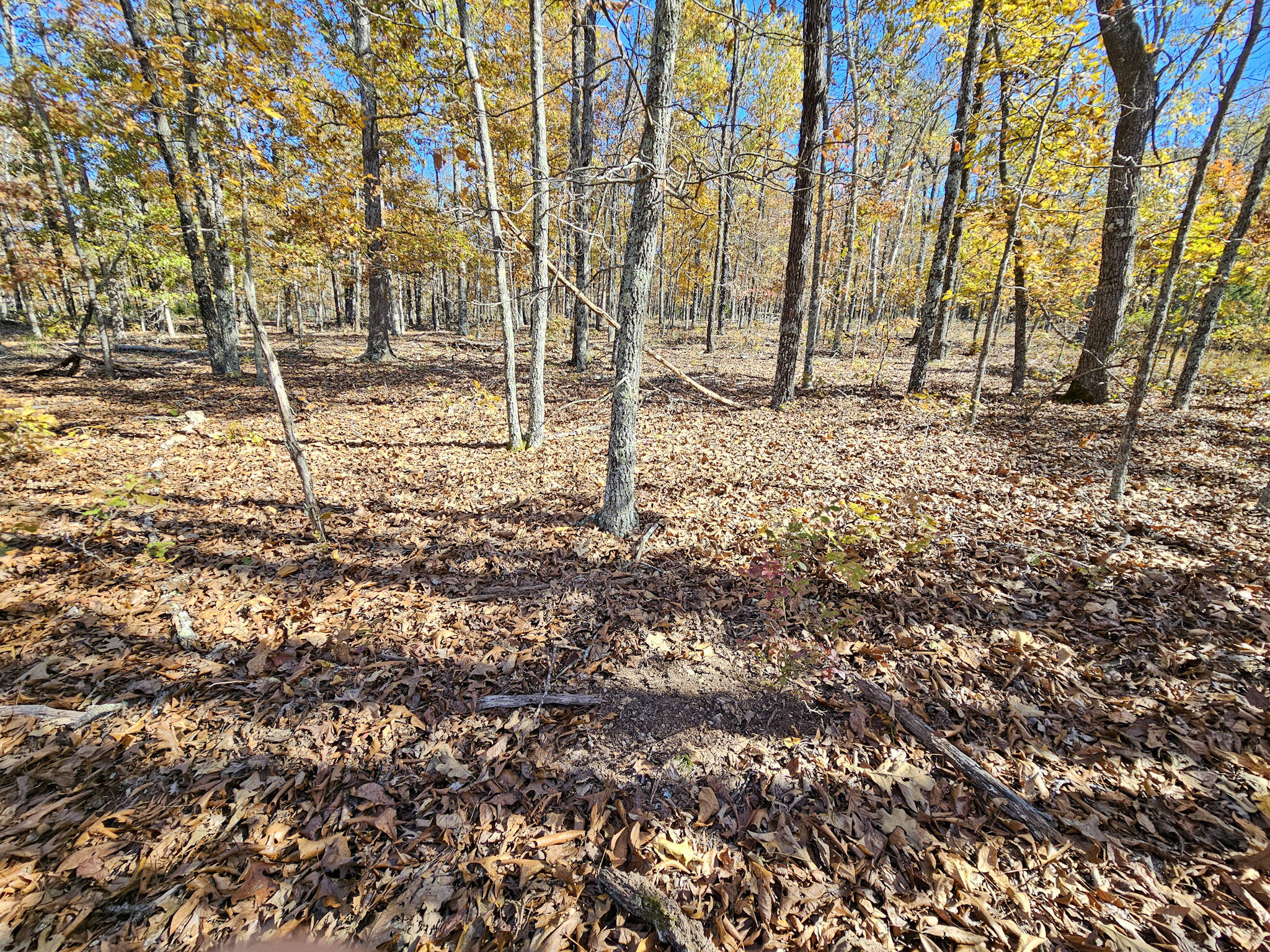 000 State Route Nn Property Photo 12