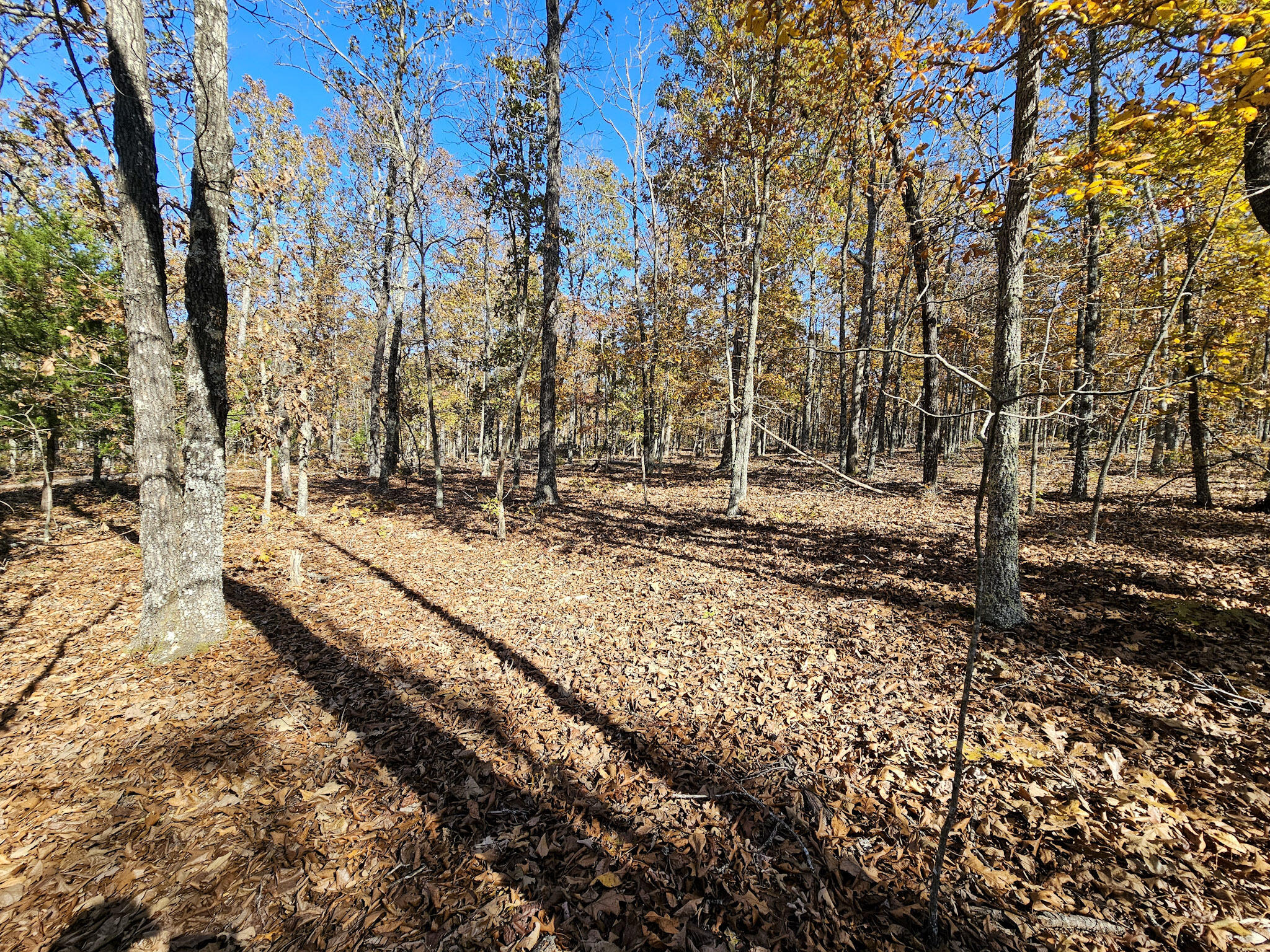 000 State Route Nn Property Photo 13
