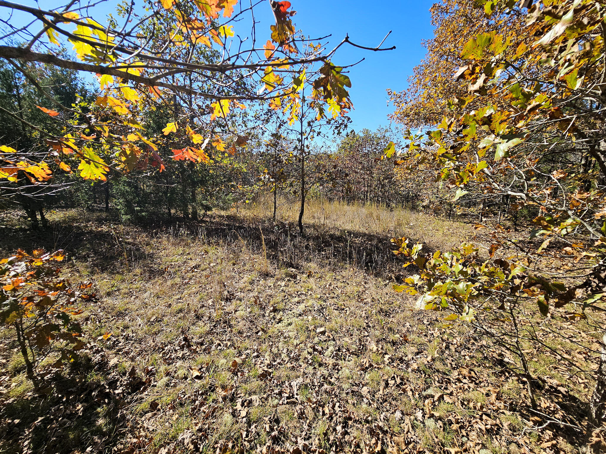 000 State Route Nn Property Photo 14