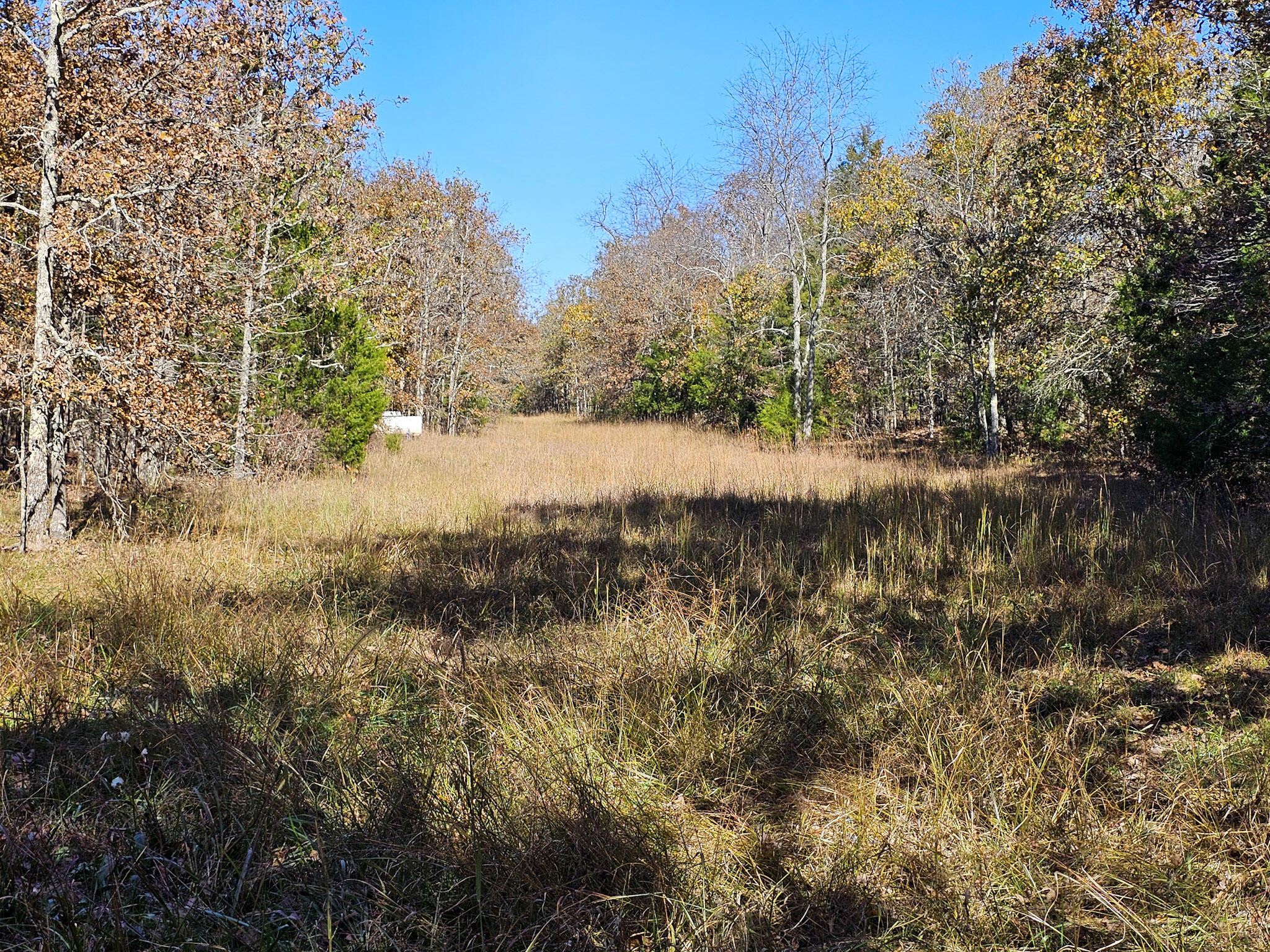 000 State Route Nn Property Photo 16