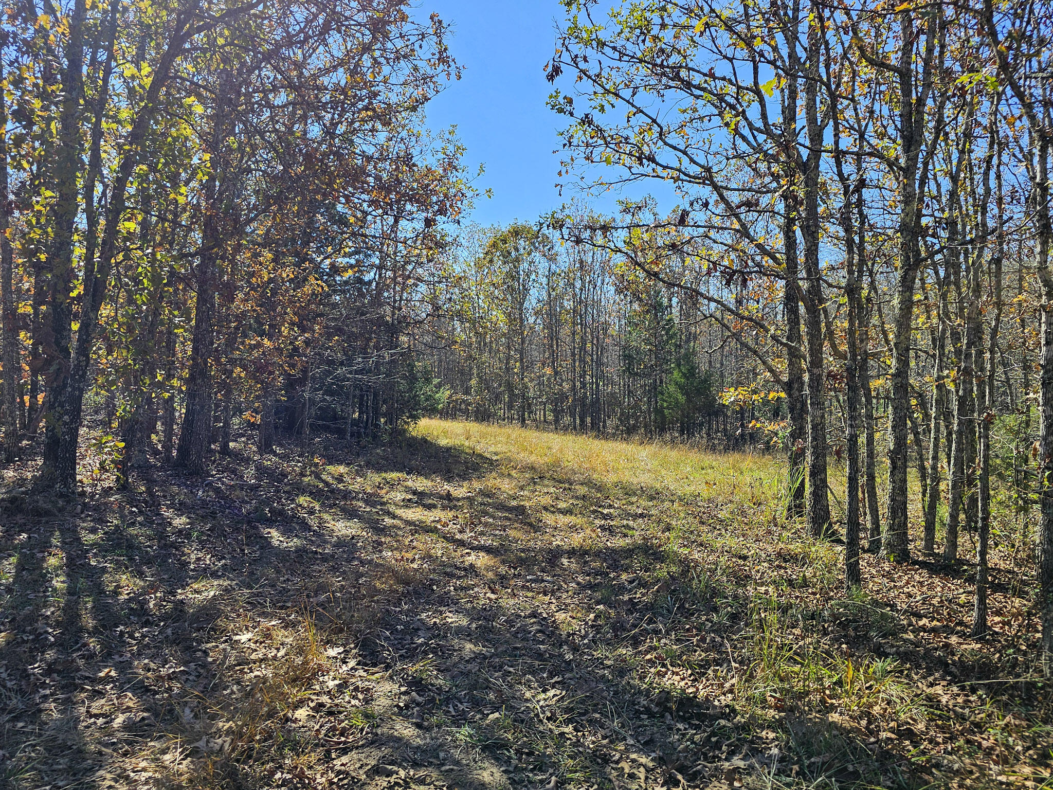 000 State Route Nn Property Photo 17