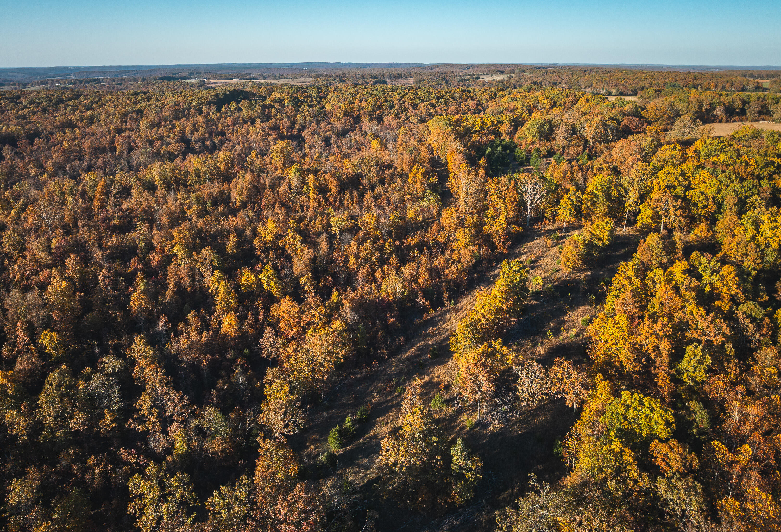 6601 County Line Road Property Photo 5