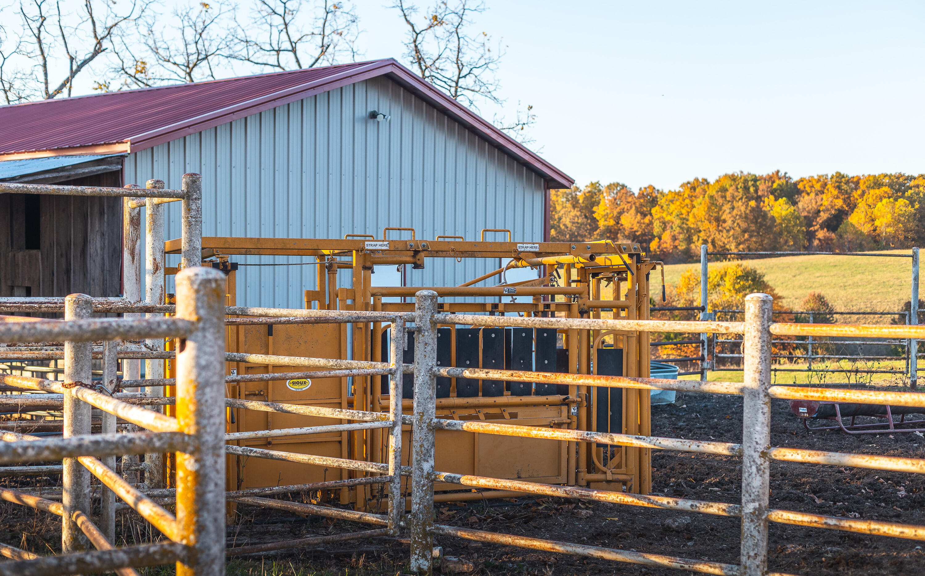 6601 County Line Road Property Photo 34