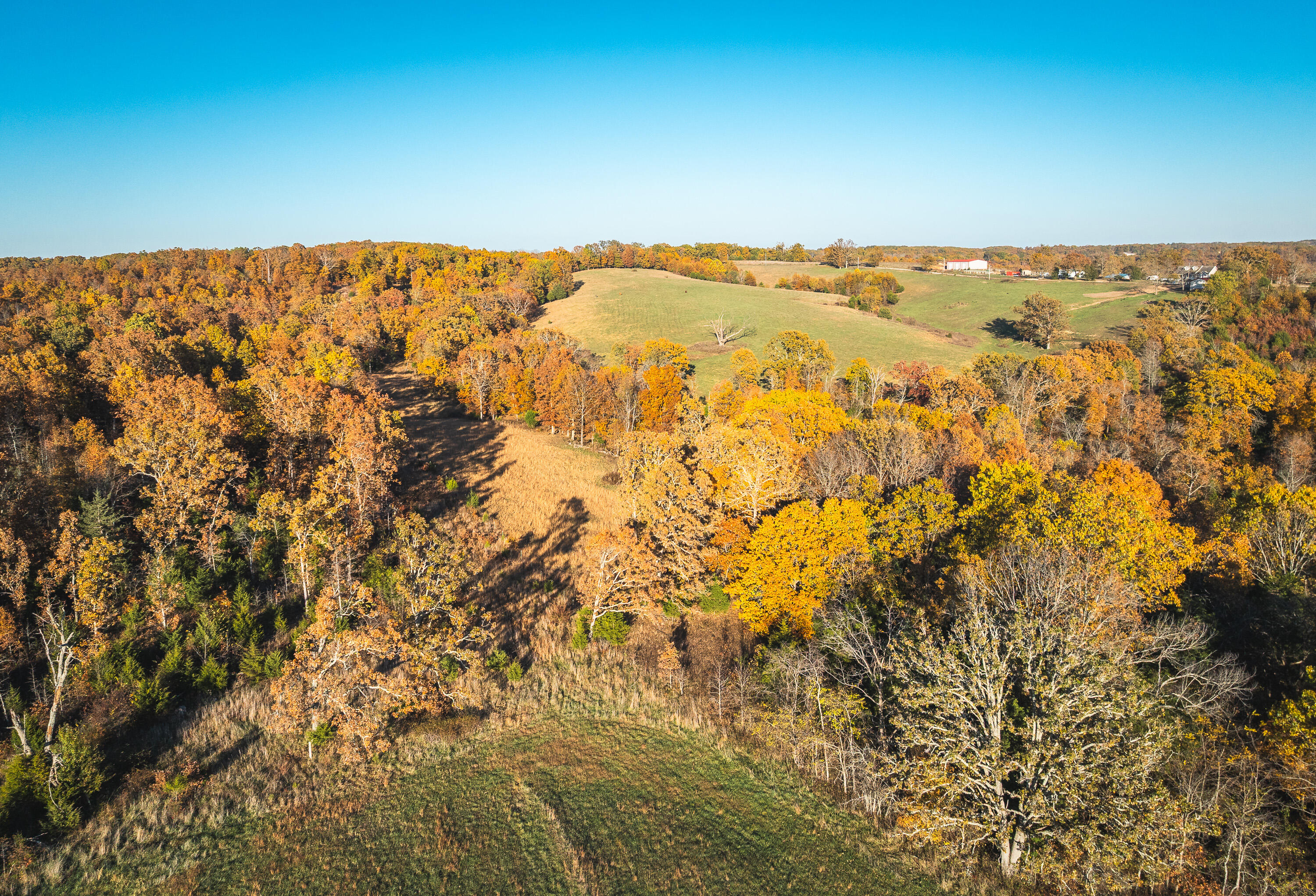 6601 County Line Road Property Photo 42