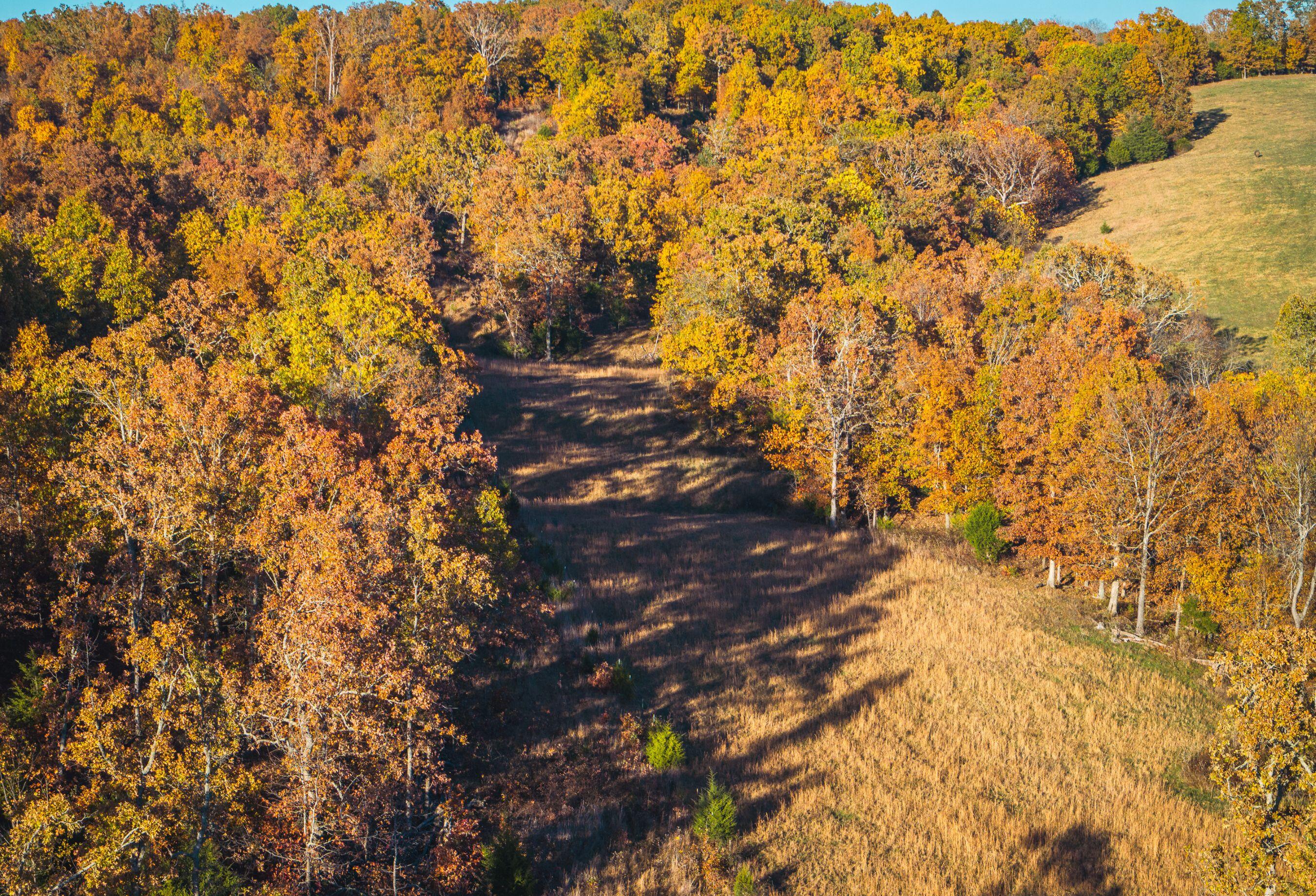 6601 County Line Road Property Photo 43