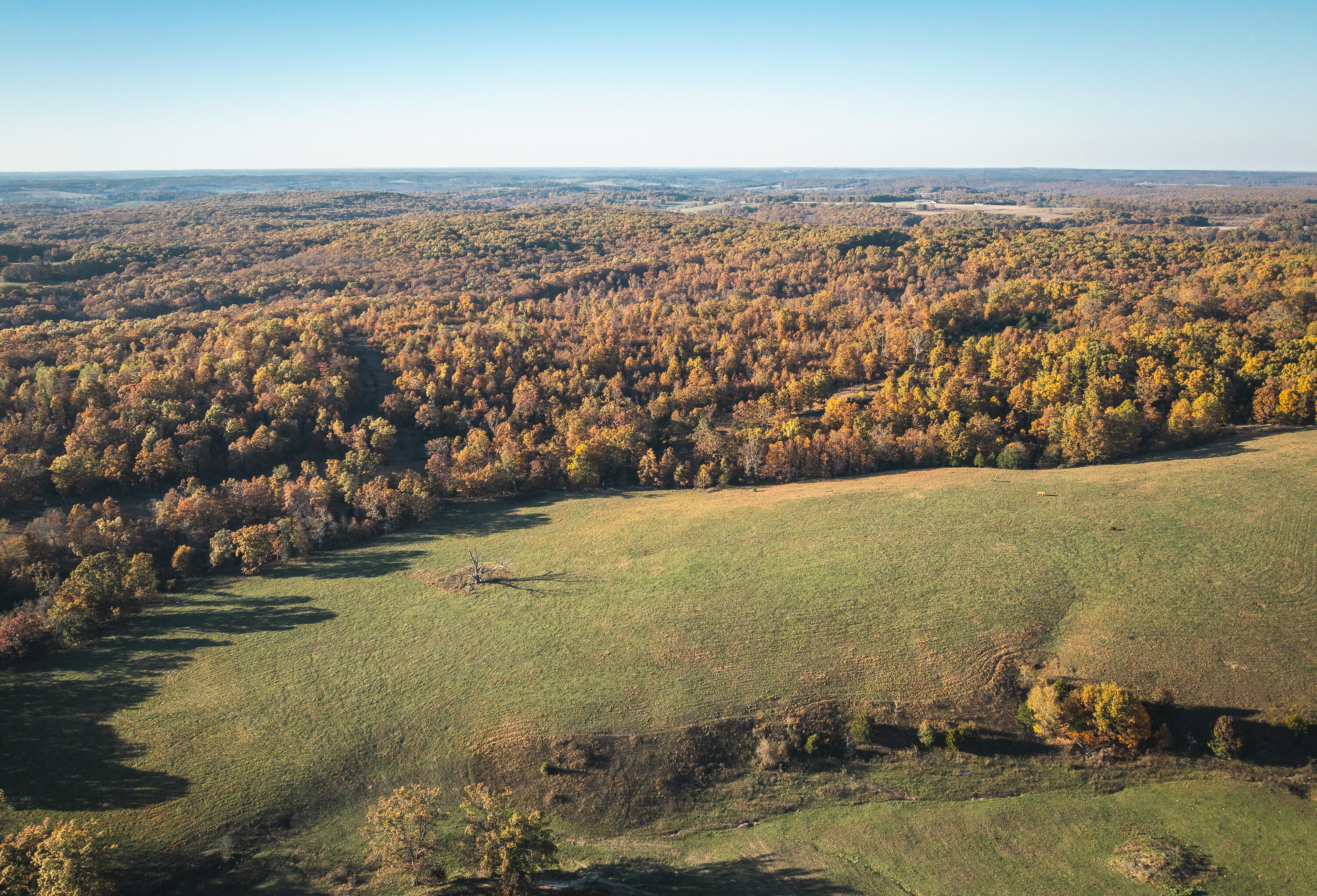 6601 County Line Road Property Photo 47