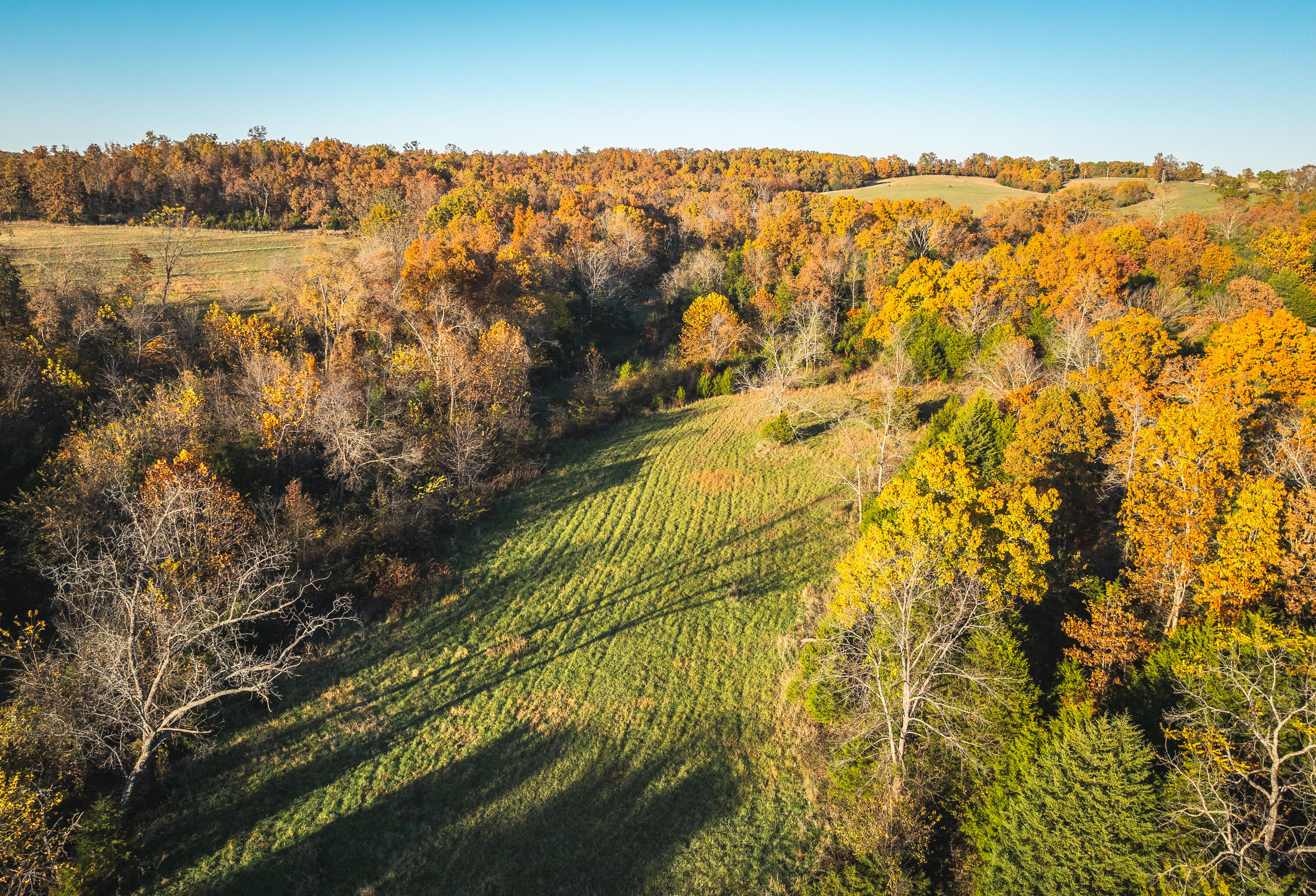 6601 County Line Road Property Photo 56