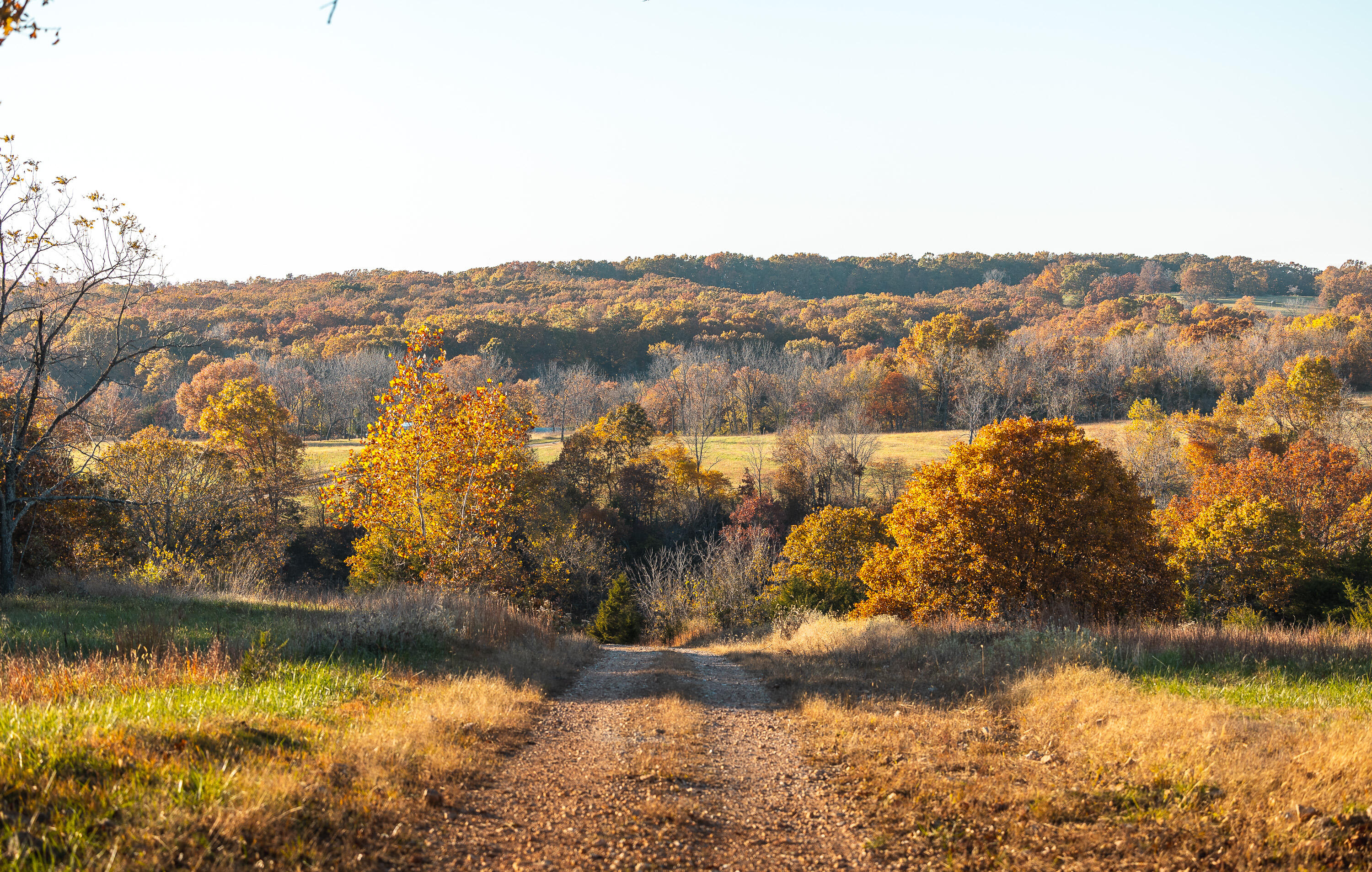 6601 County Line Road Property Photo 57