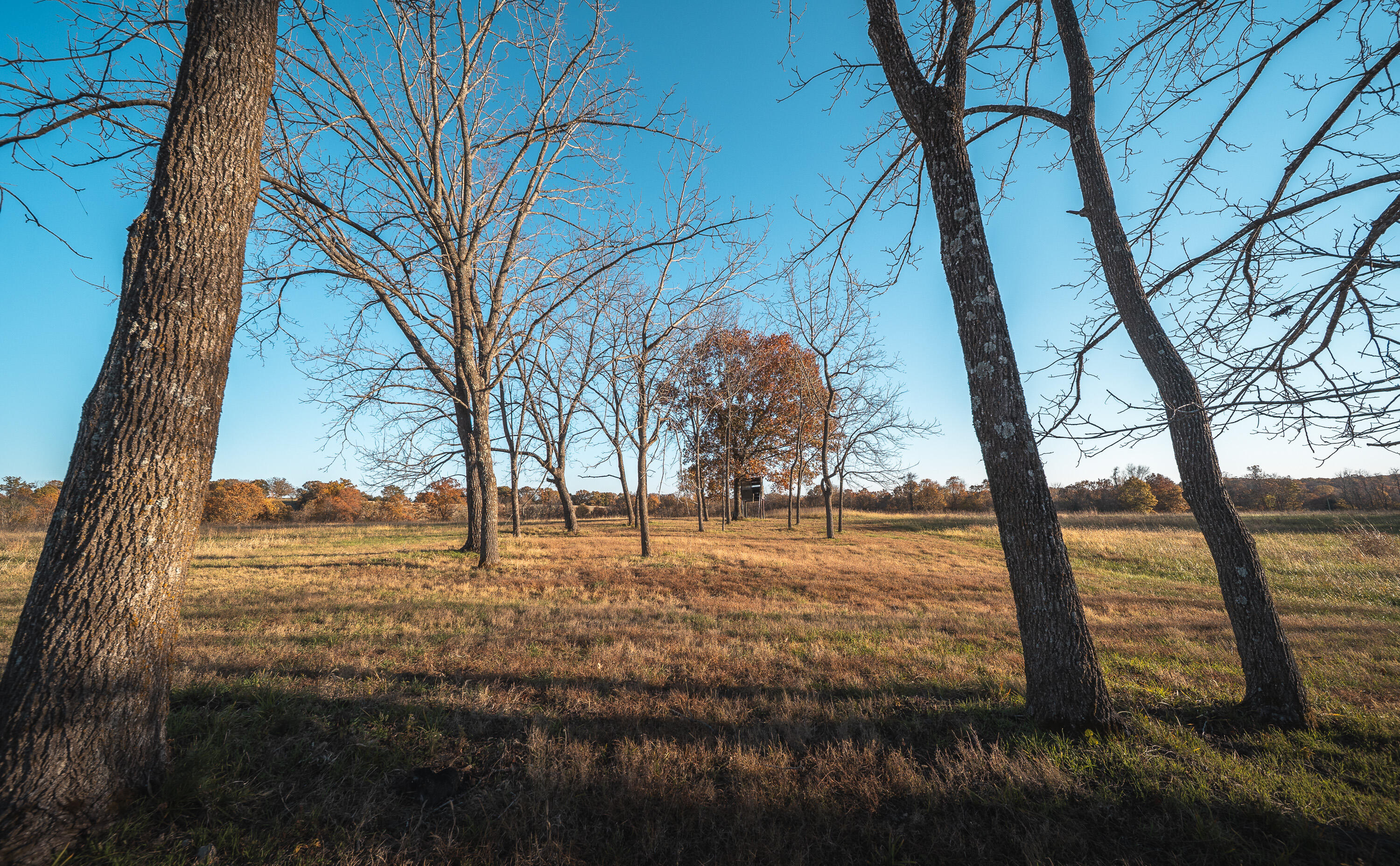 6601 County Line Road Property Photo 58