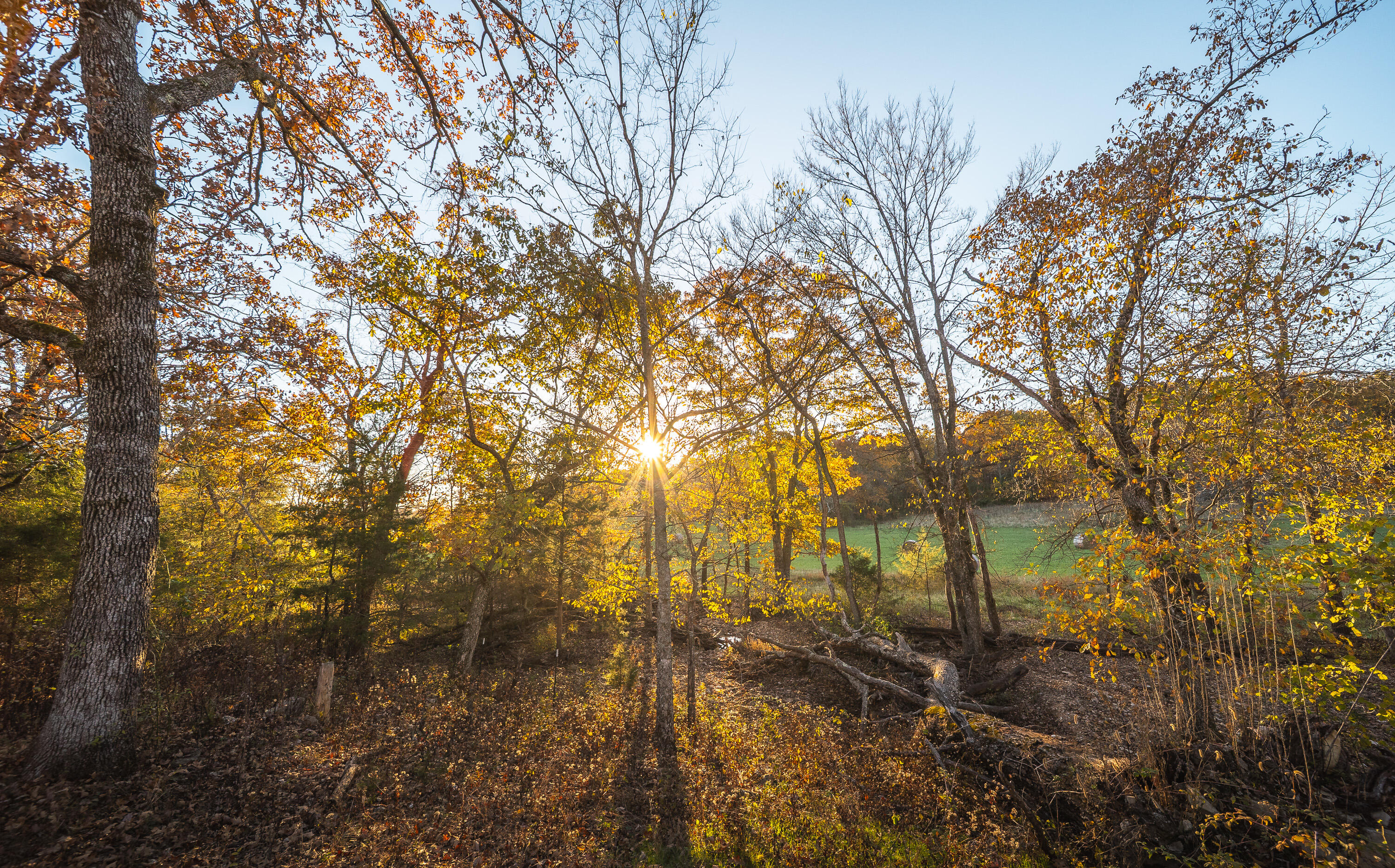 6601 County Line Road Property Photo 60