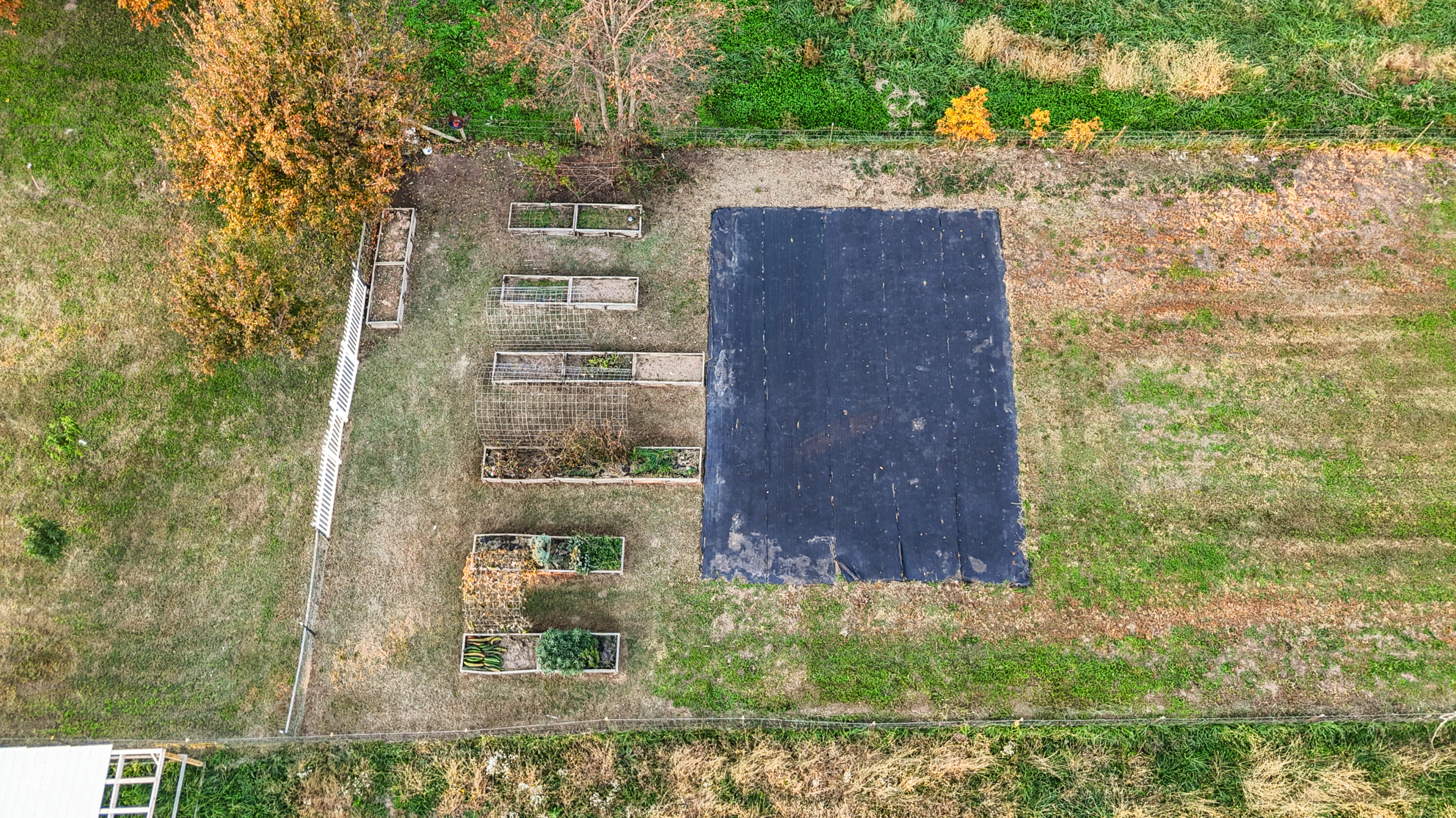 13992 Farm Road 2185 Property Photo 8