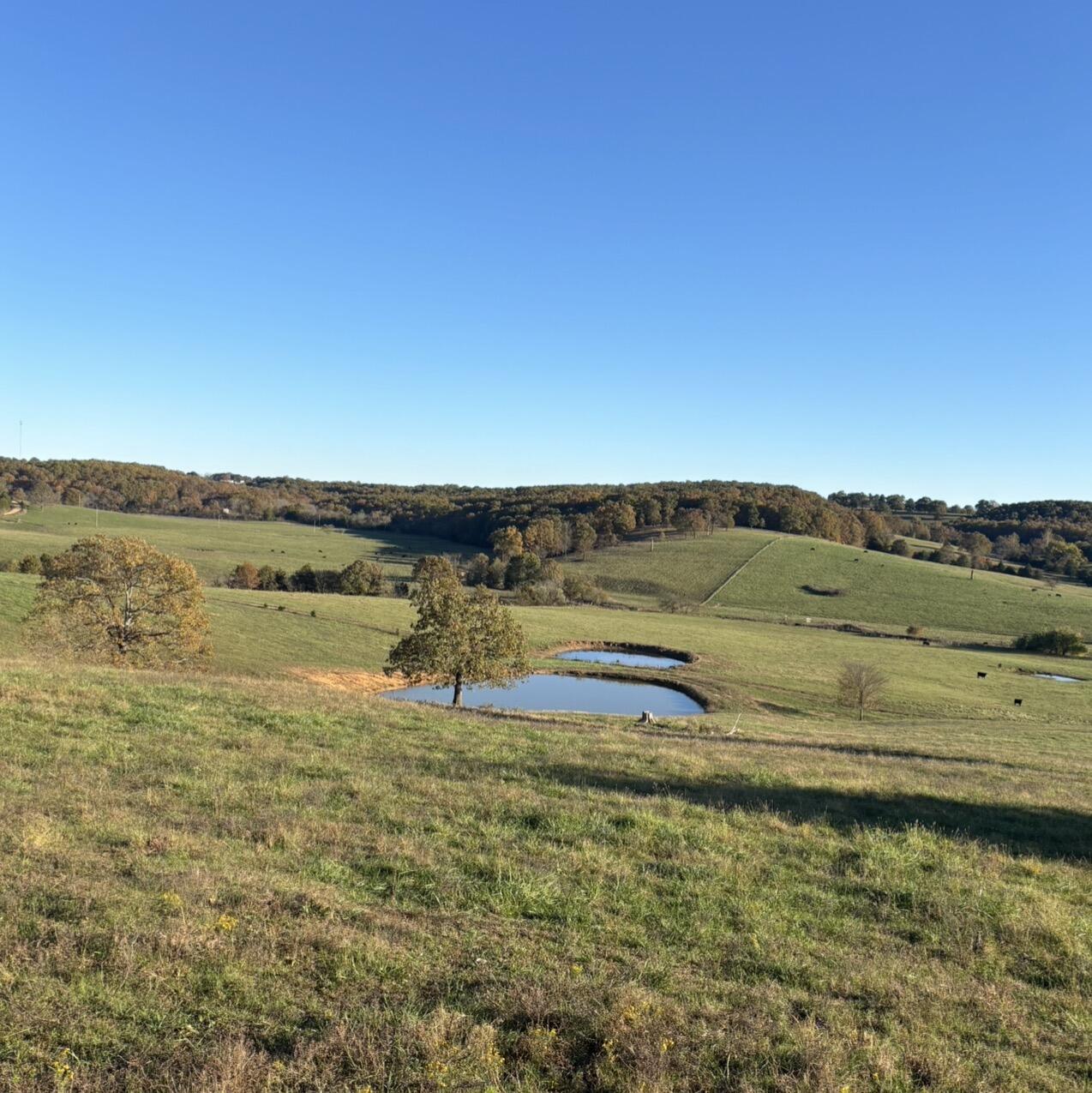 Hc 73 County Road 245 Property Photo 1