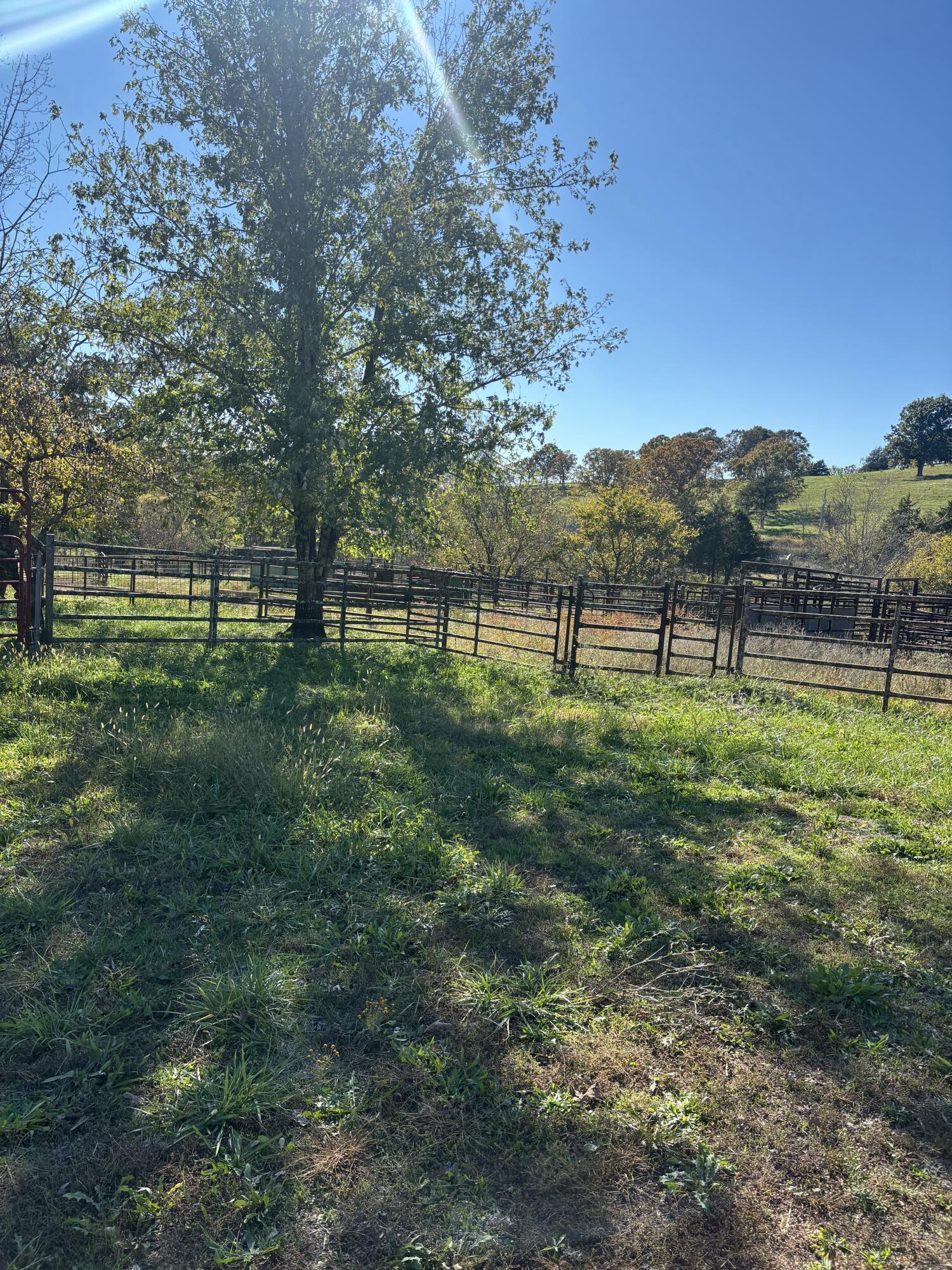Hc 73 County Road 245 Property Photo 4