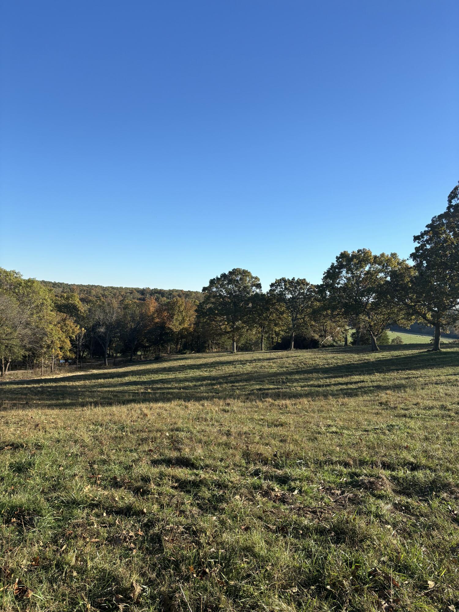 Hc 73 County Road 245 Property Photo 14