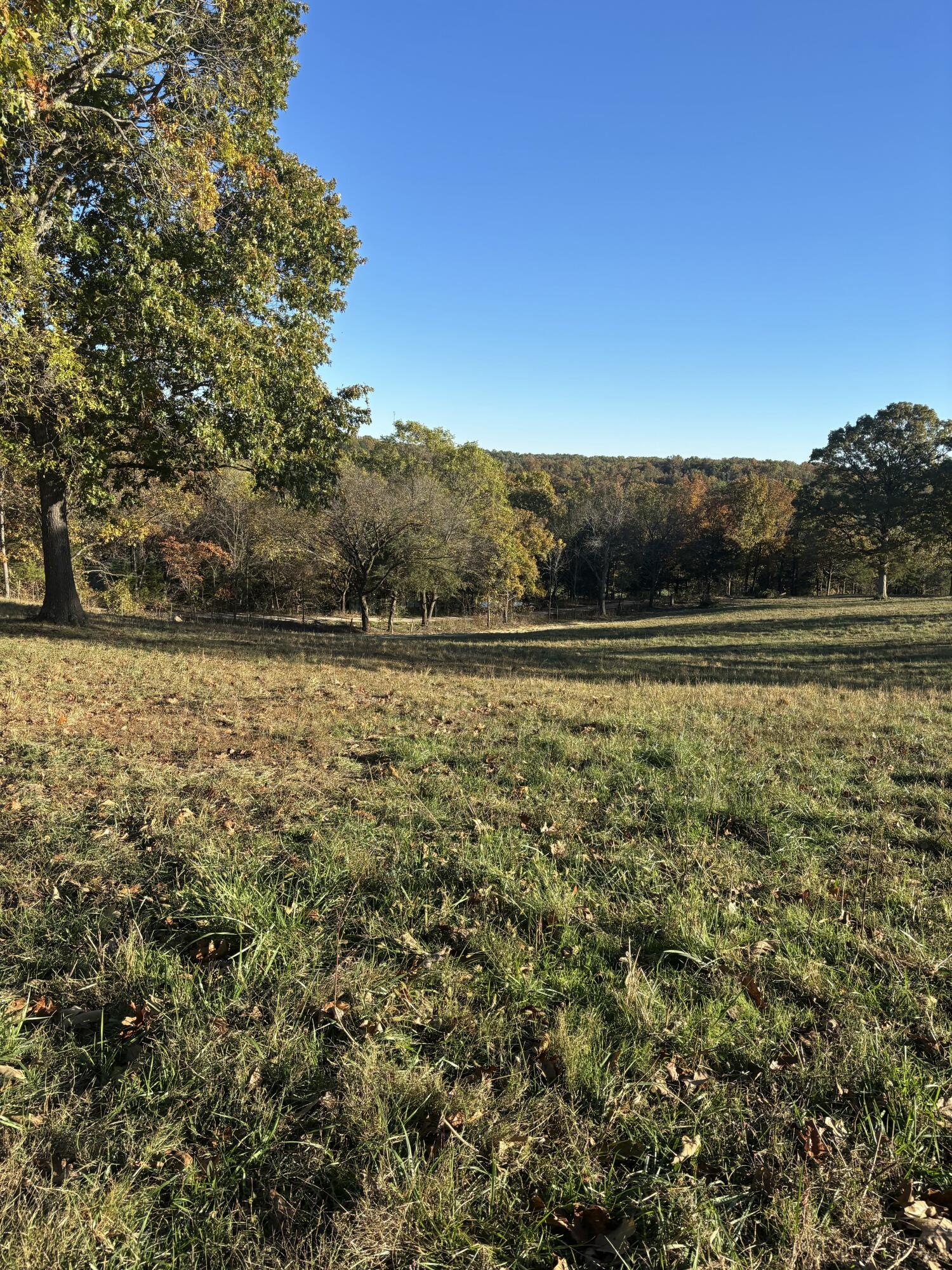 Hc 73 County Road 245 Property Photo 15