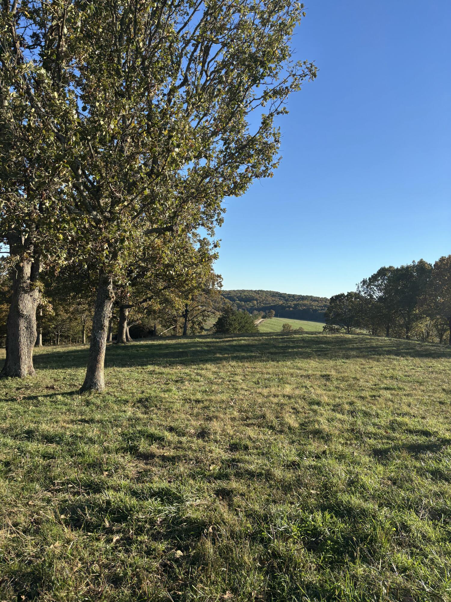 Hc 73 County Road 245 Property Photo 17