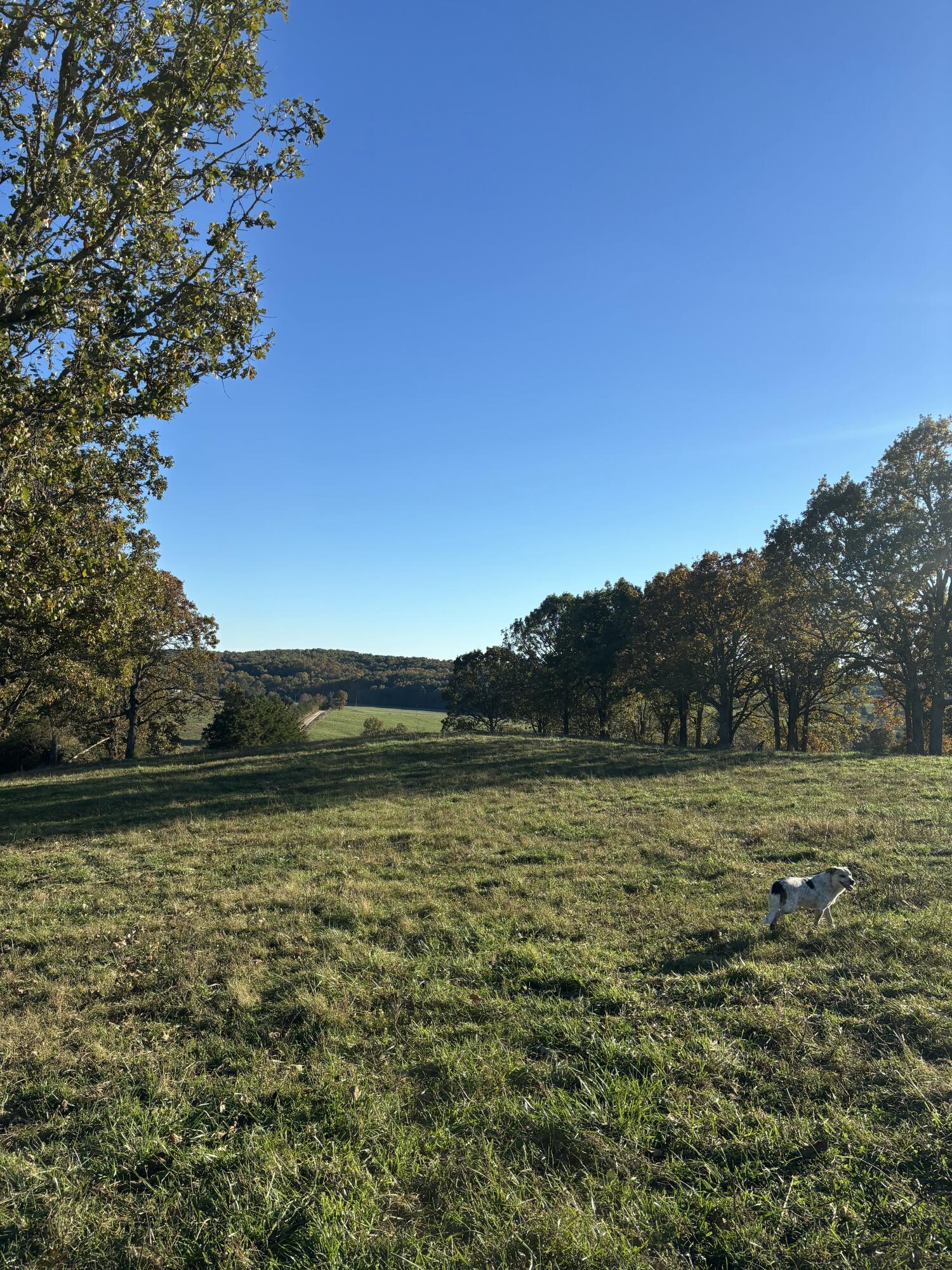 Hc 73 County Road 245 Property Photo 18