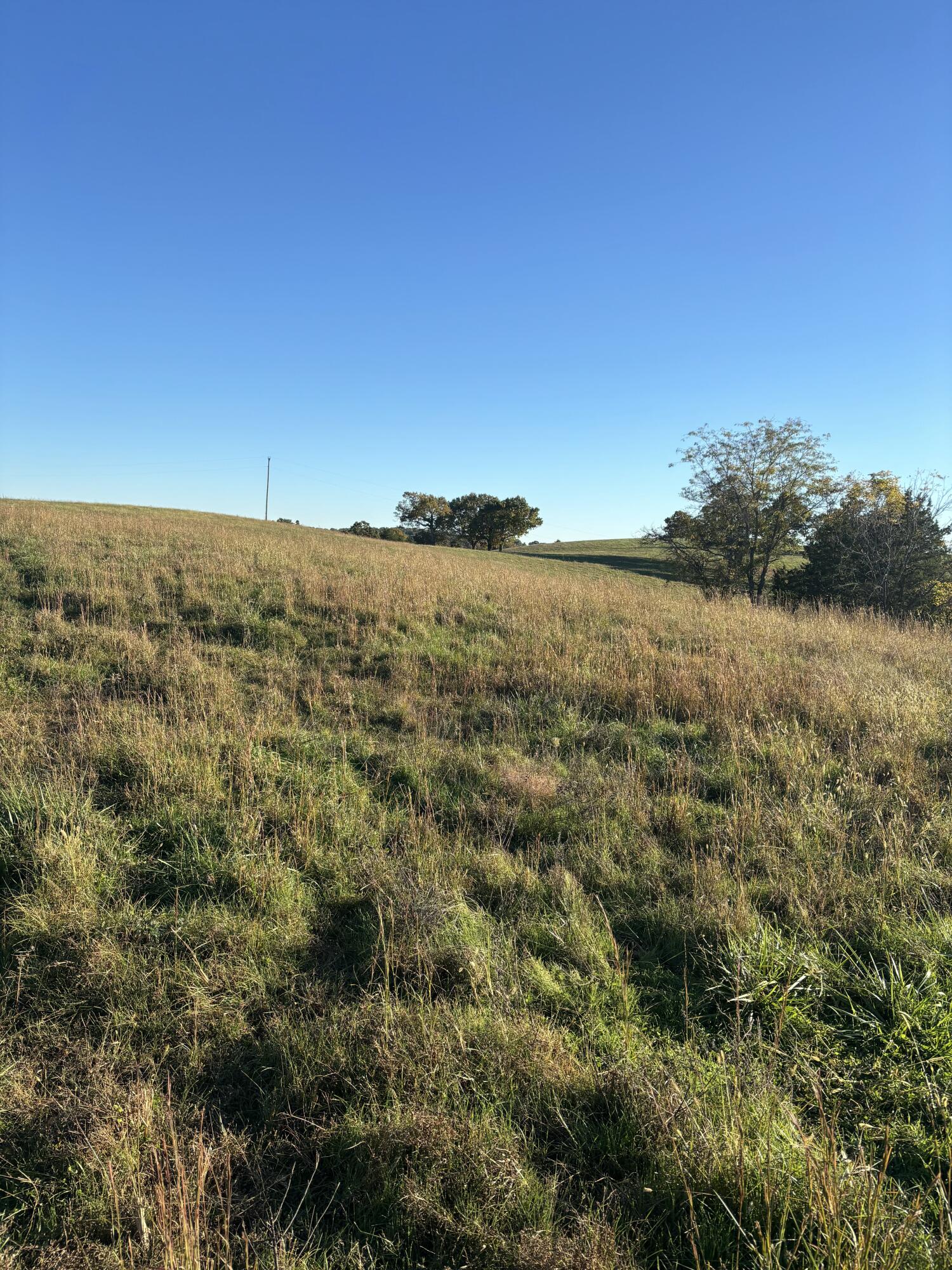 Hc 73 County Road 245 Property Photo 19