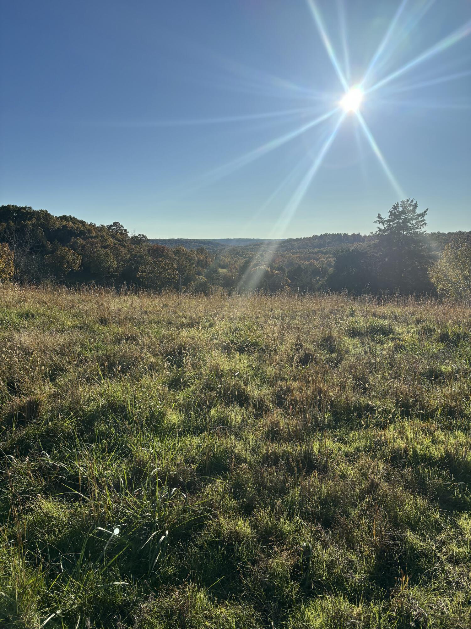 Hc 73 County Road 245 Property Photo 21