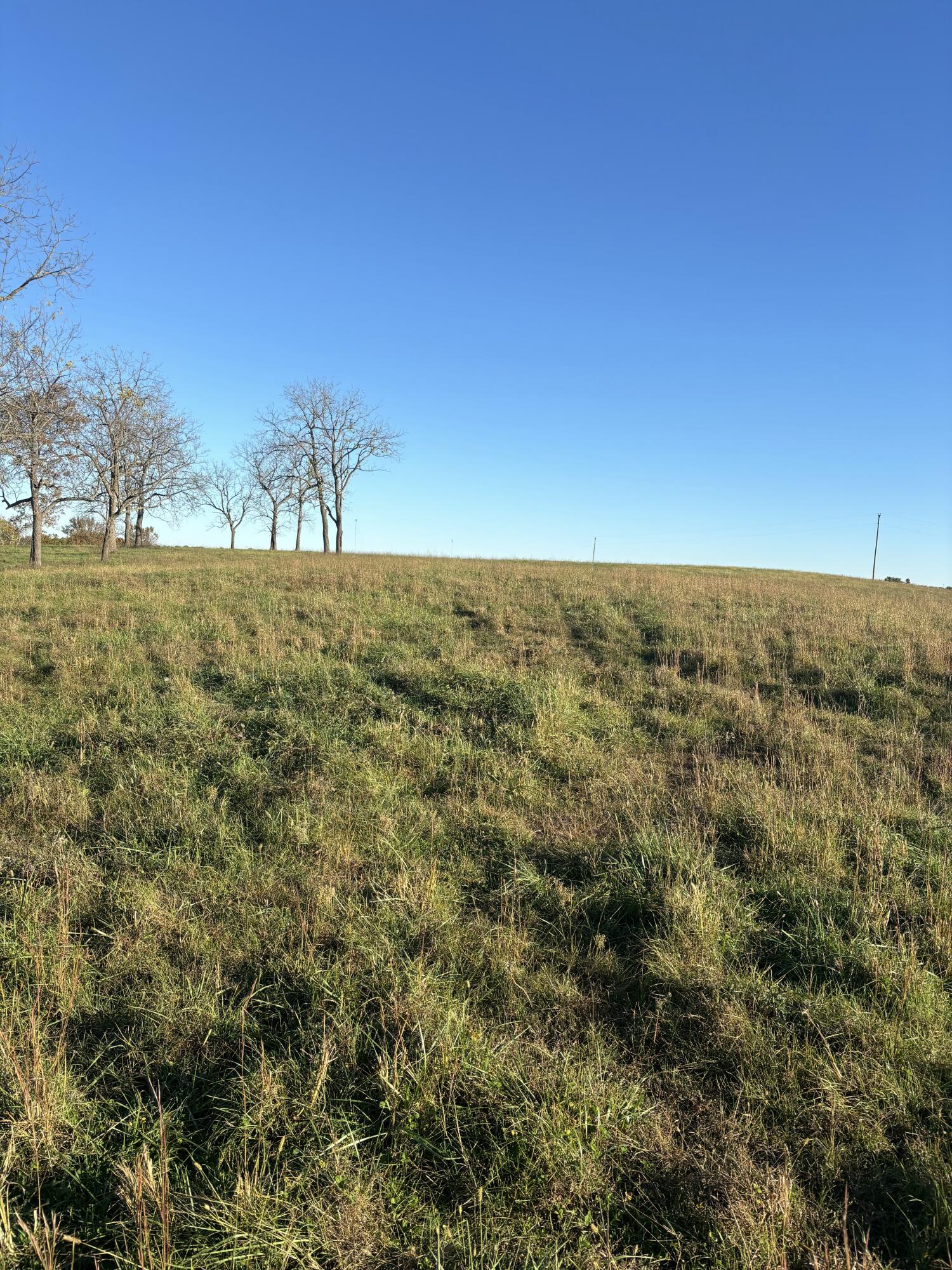 Hc 73 County Road 245 Property Photo 22