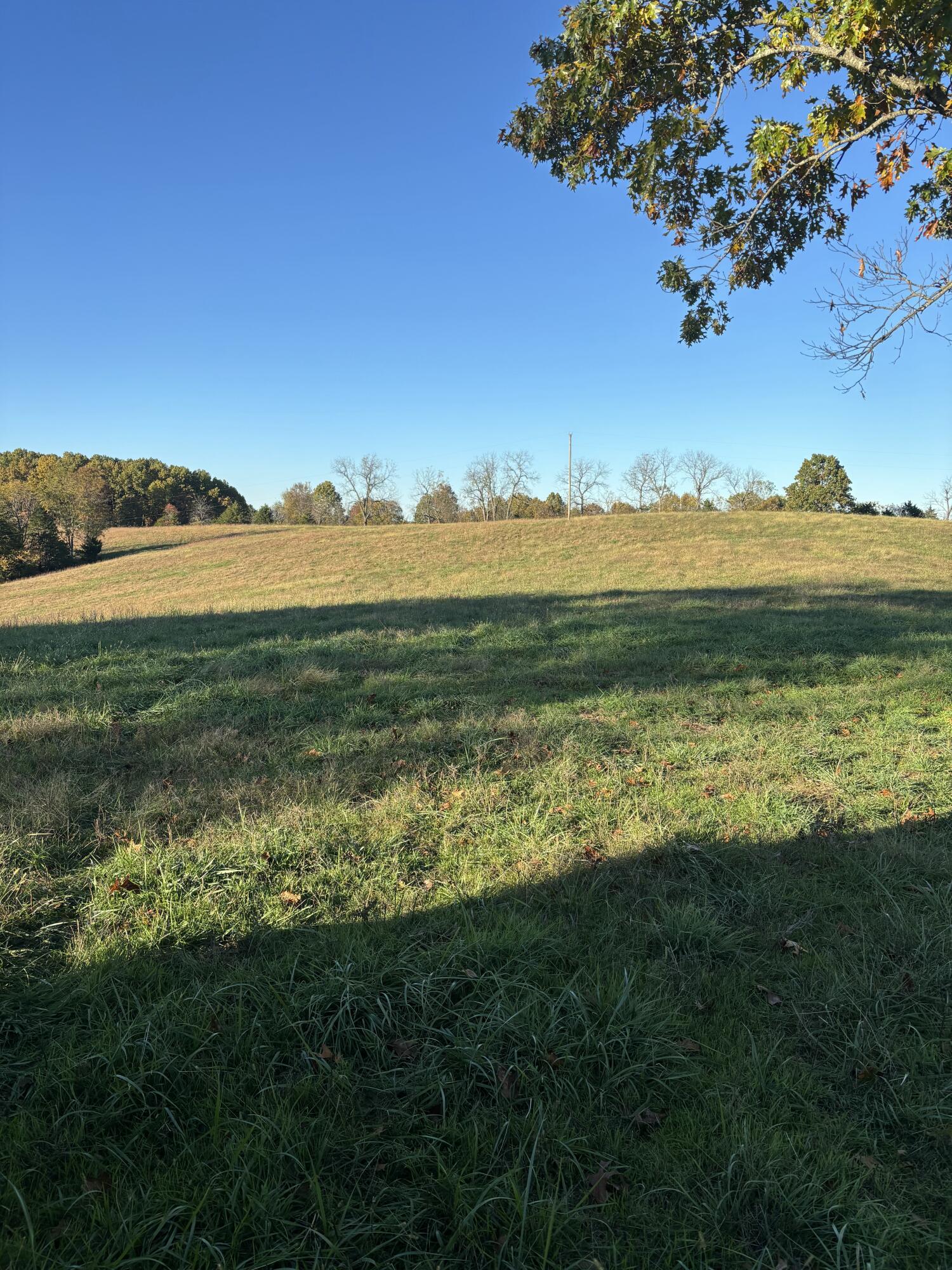 Hc 73 County Road 245 Property Photo 23