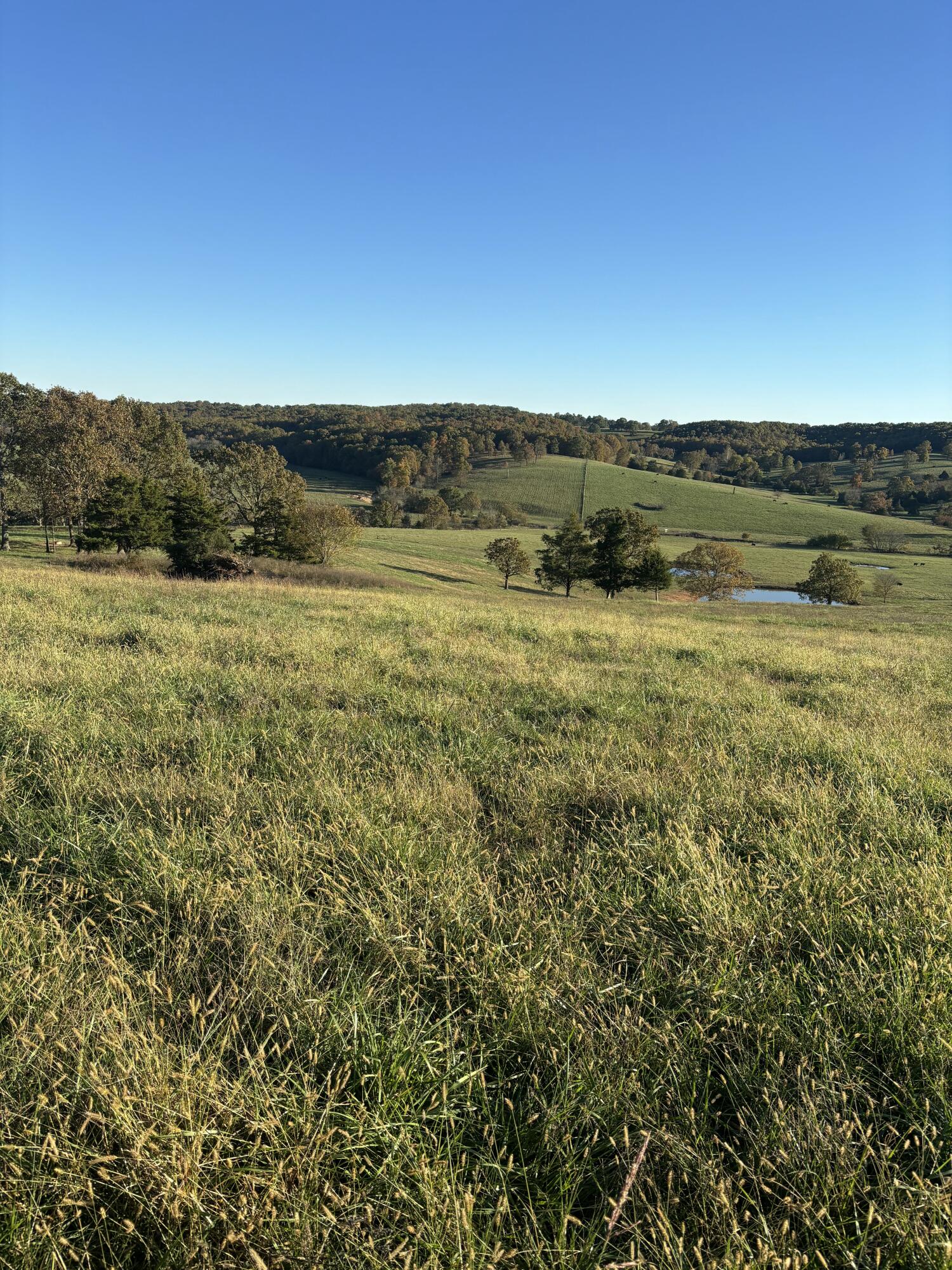 Hc 73 County Road 245 Property Photo 27
