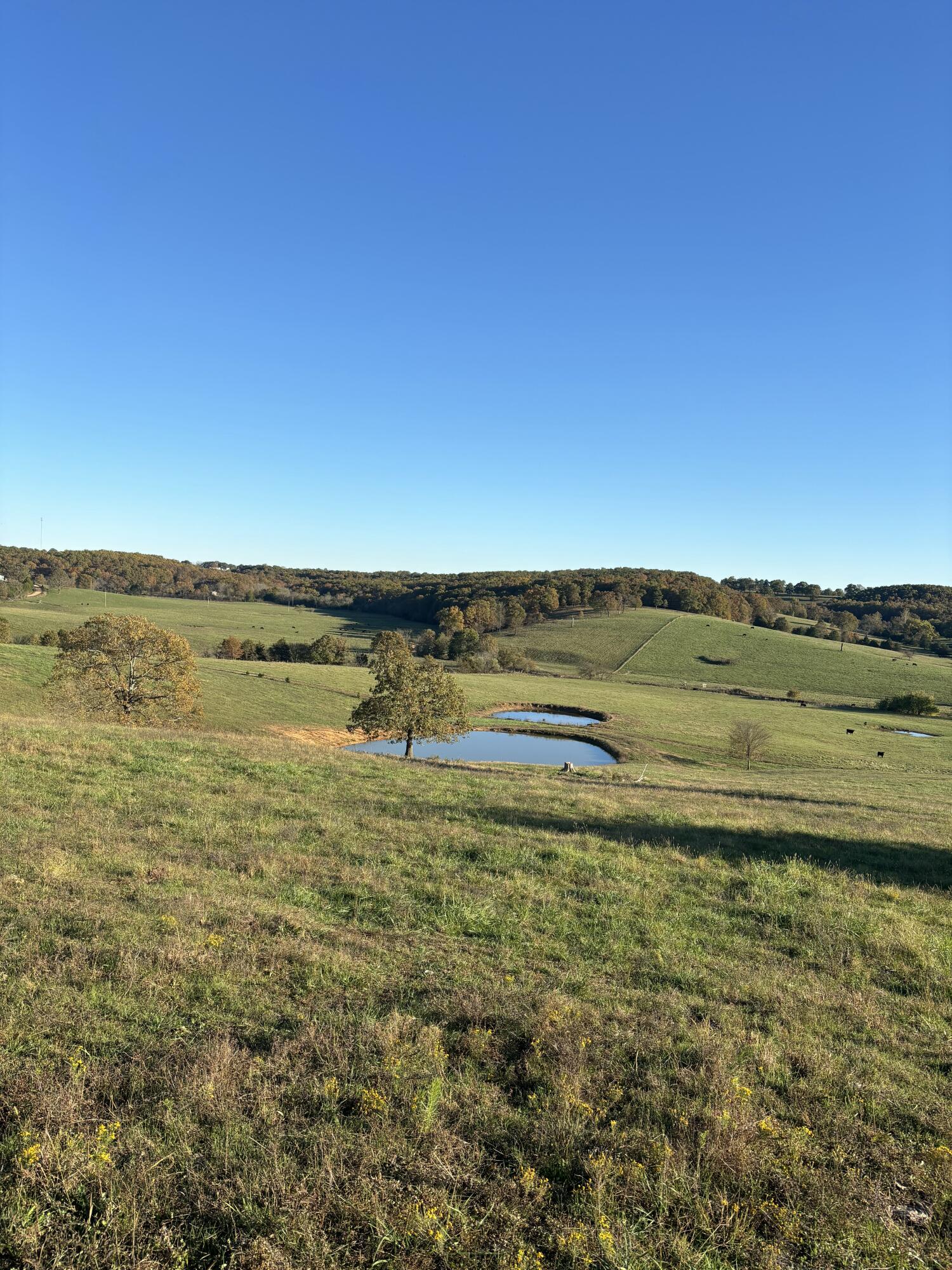 Hc 73 County Road 245 Property Photo 33