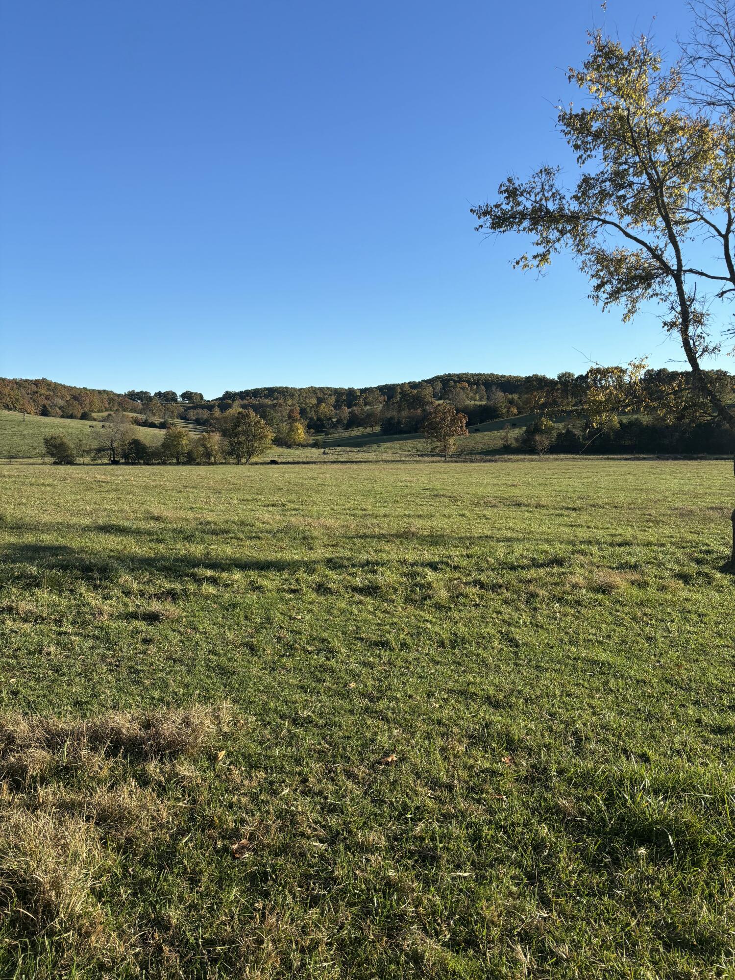 Hc 73 County Road 245 Property Photo 37