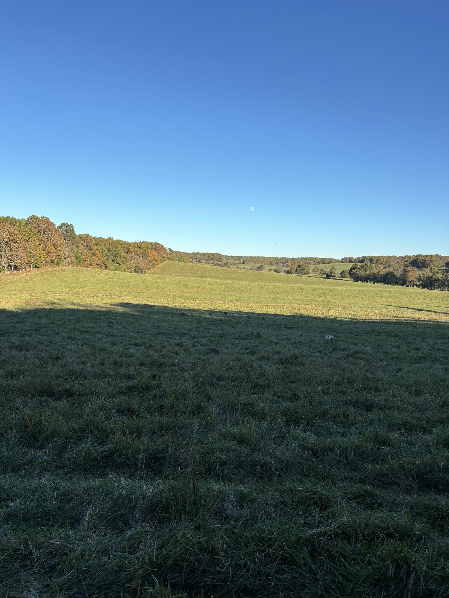 Hc 73 County Road 245 Property Photo 39