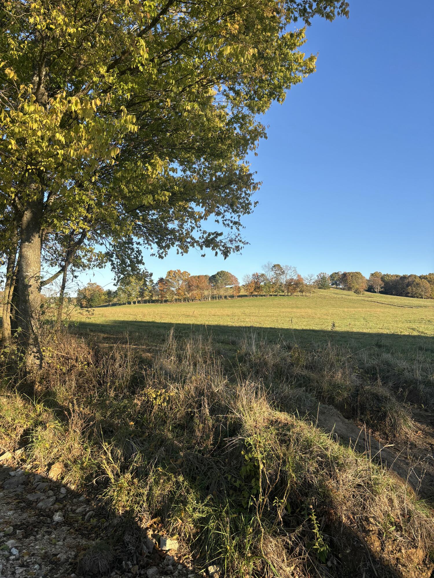 Hc 73 County Road 245 Property Photo 44