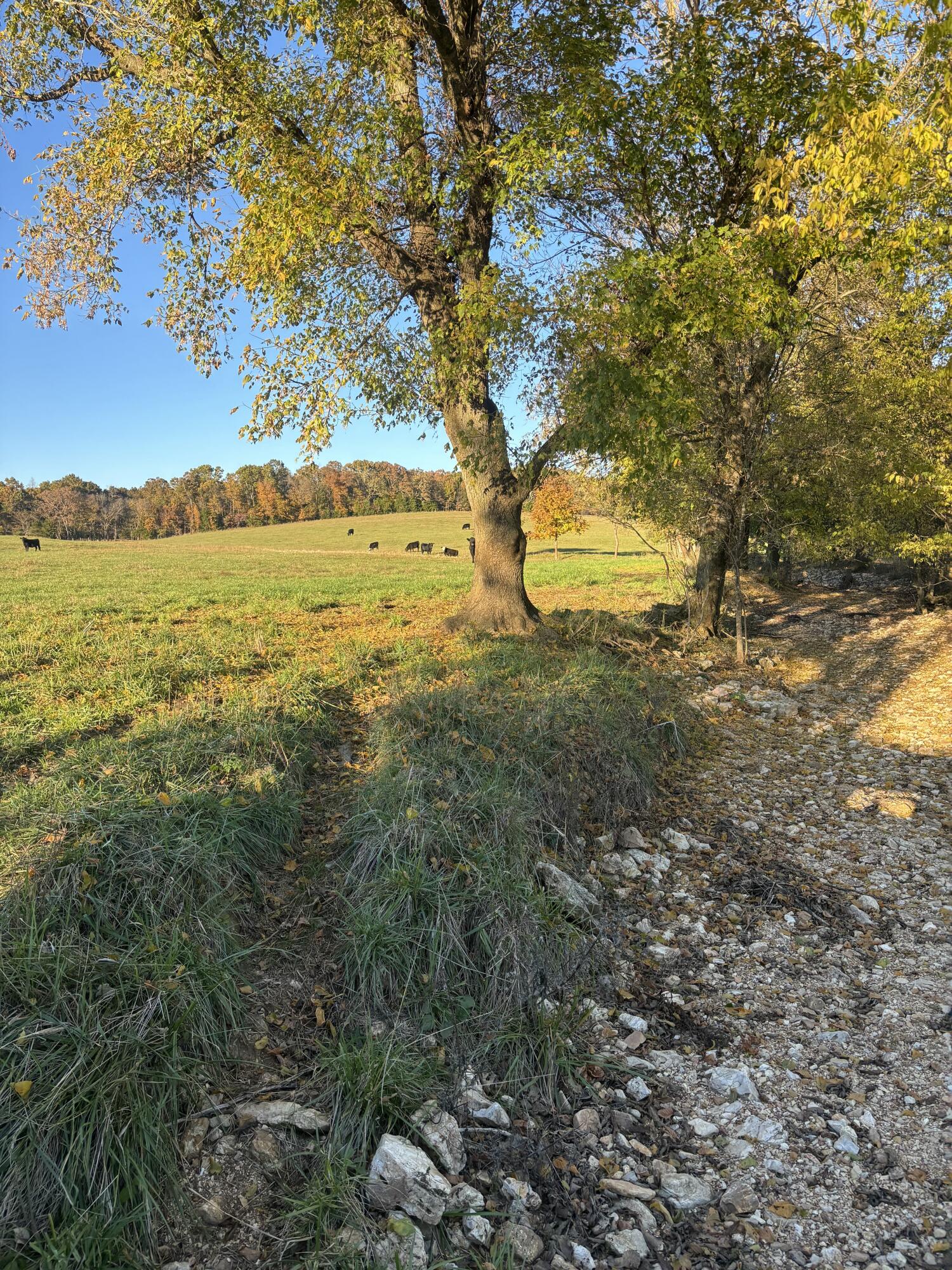 Hc 73 County Road 245 Property Photo 45