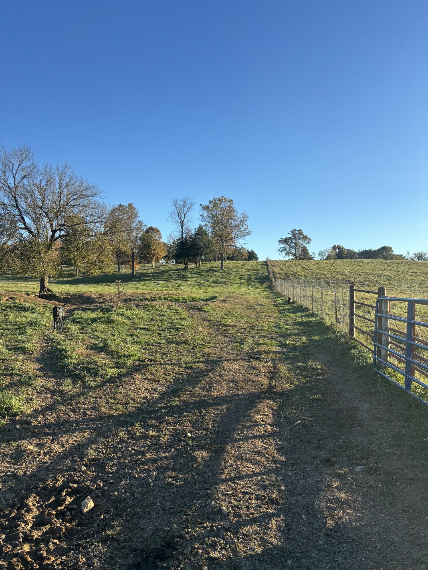 Hc 73 County Road 245 Property Photo 48