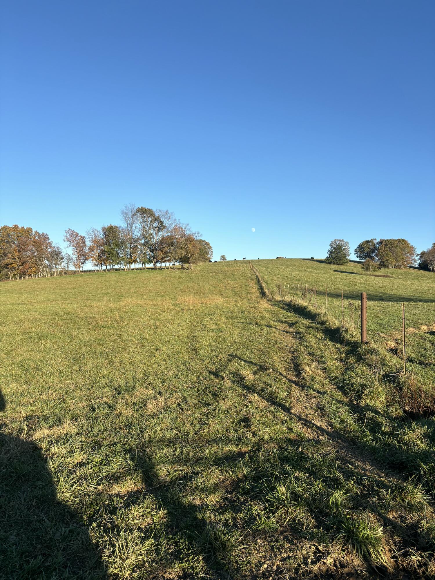 Hc 73 County Road 245 Property Photo 50