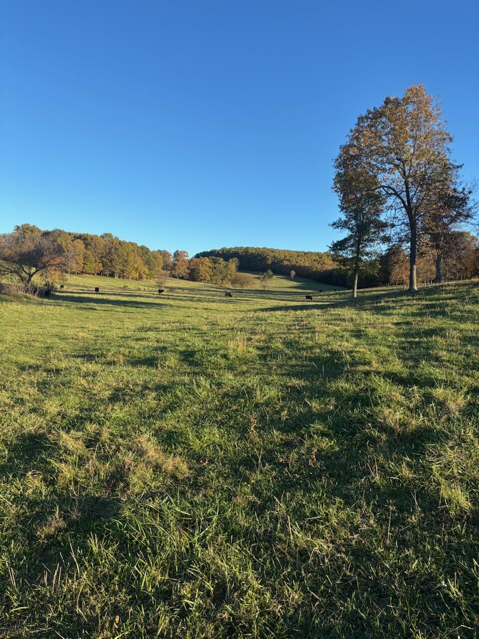 Hc 73 County Road 245 Property Photo 56