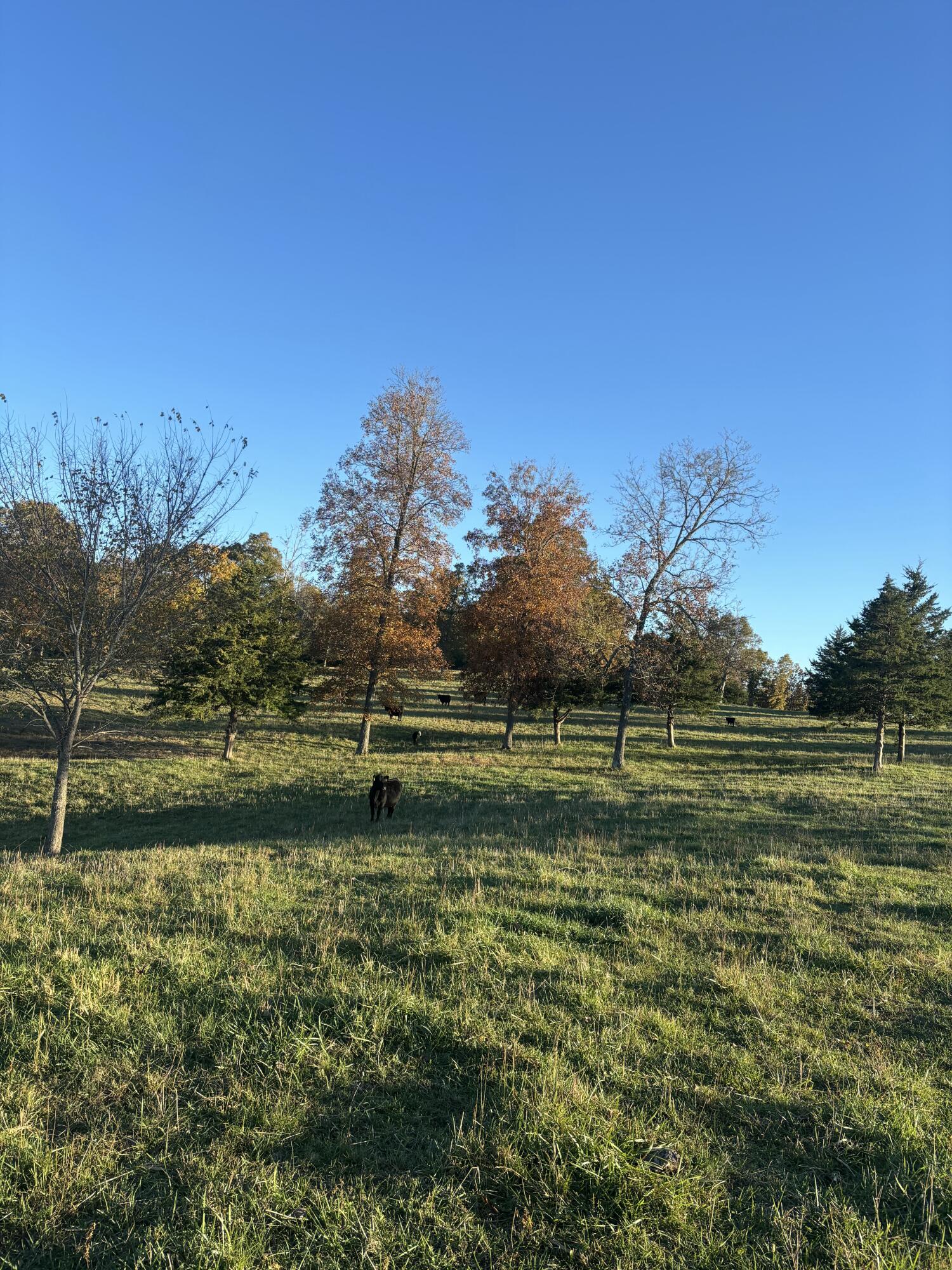 Hc 73 County Road 245 Property Photo 60