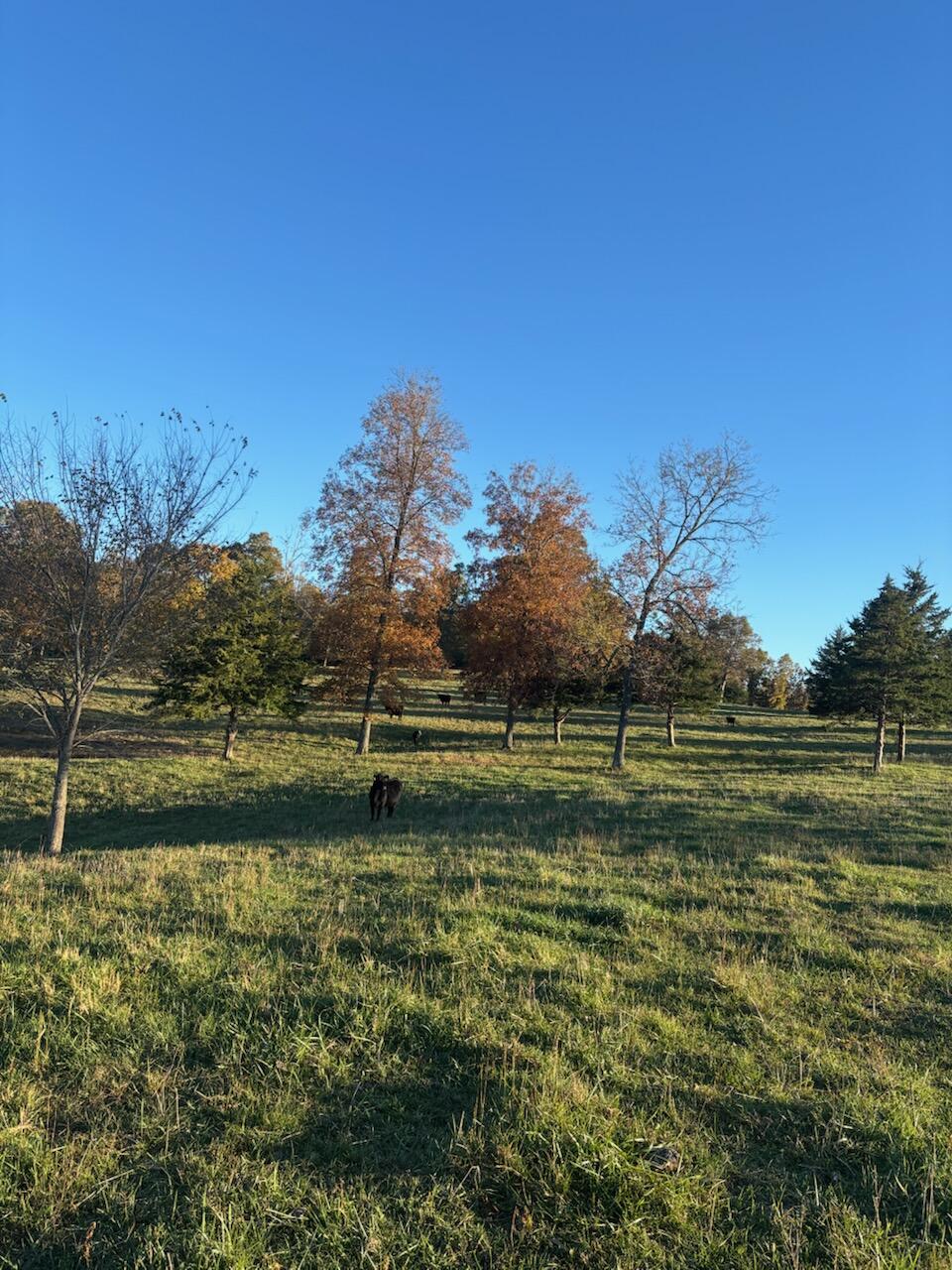 Hc 73 County Road 245 Property Photo 61