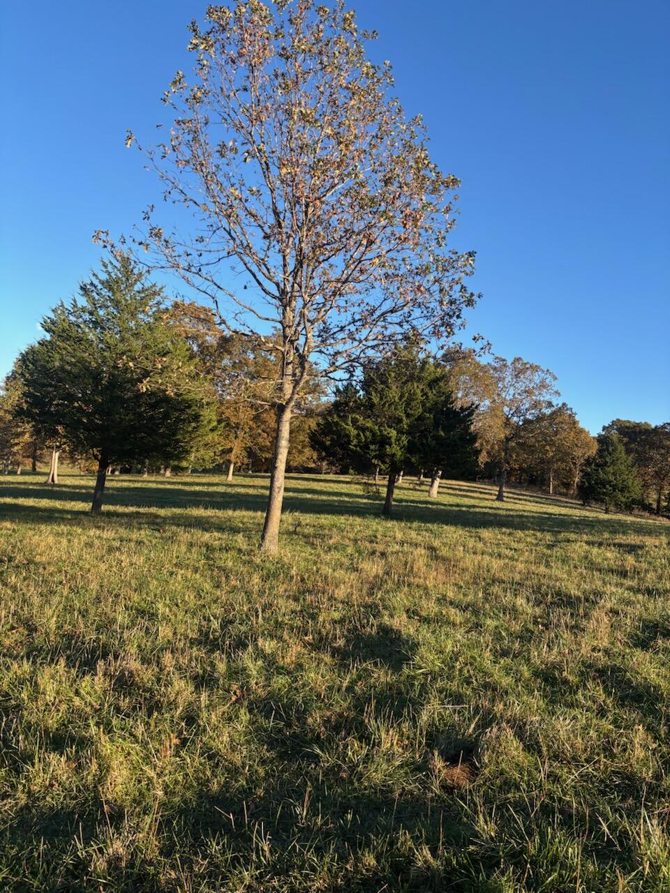 Hc 73 County Road 245 Property Photo 62