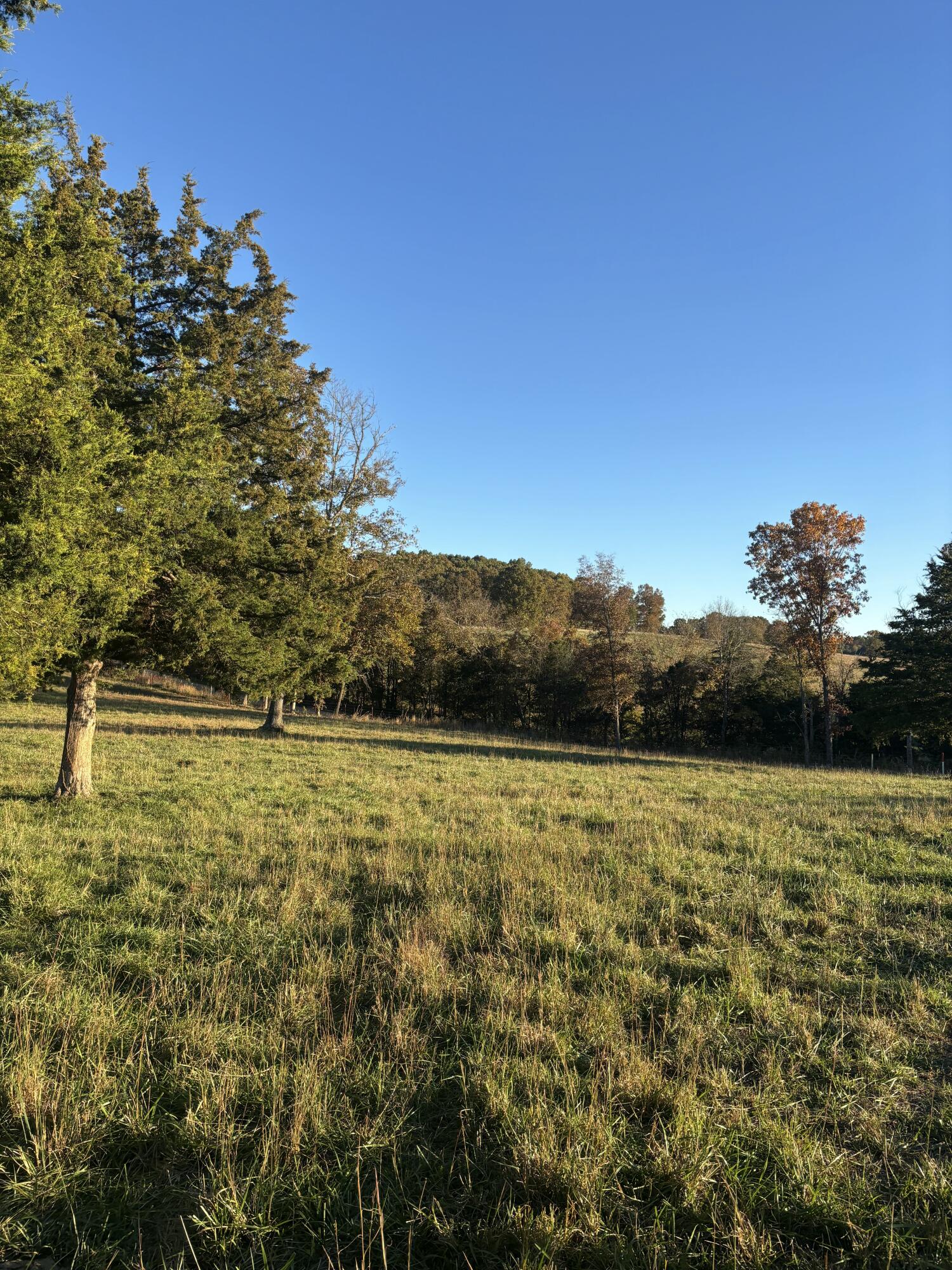 Hc 73 County Road 245 Property Photo 63