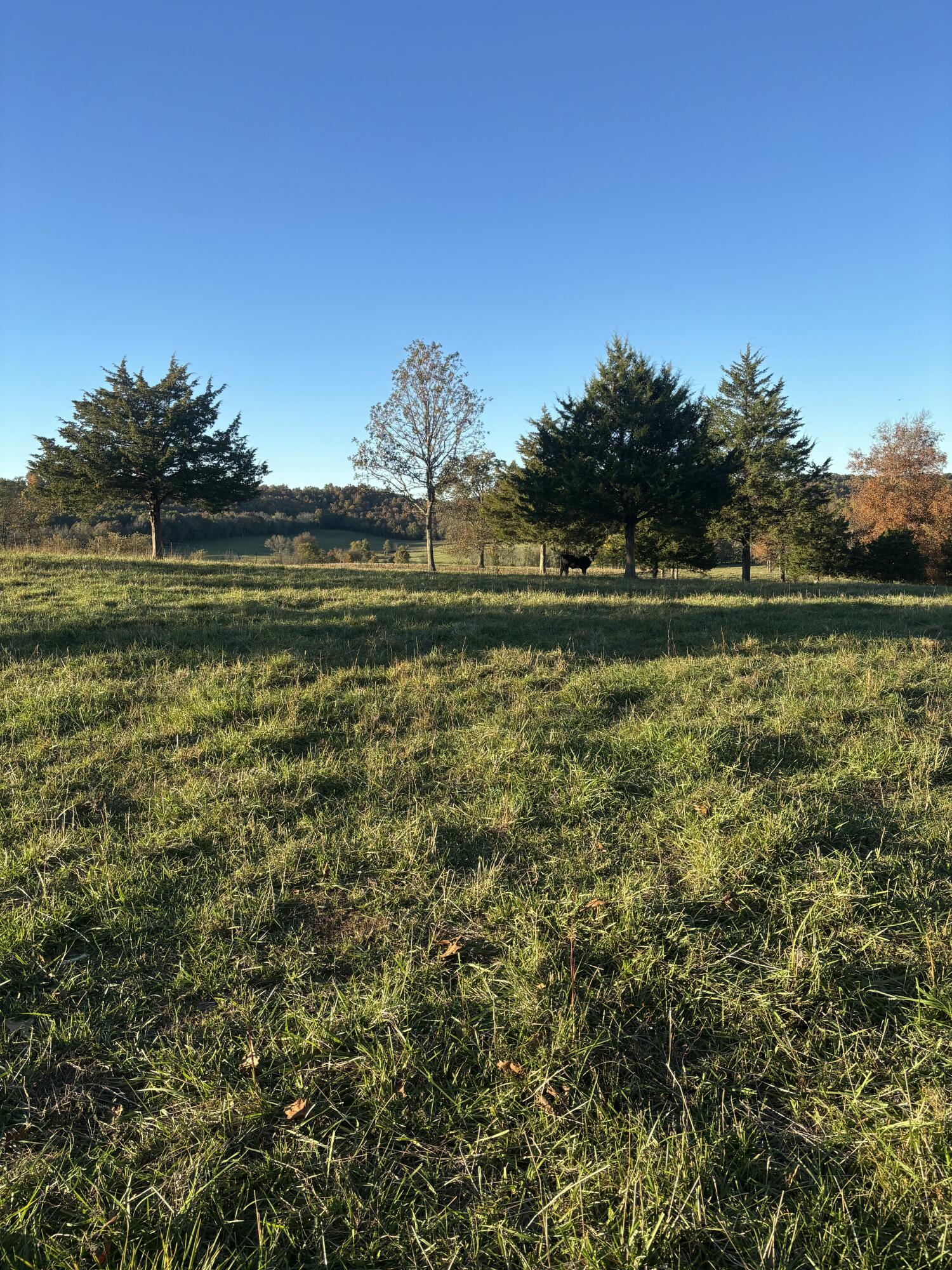 Hc 73 County Road 245 Property Photo 64