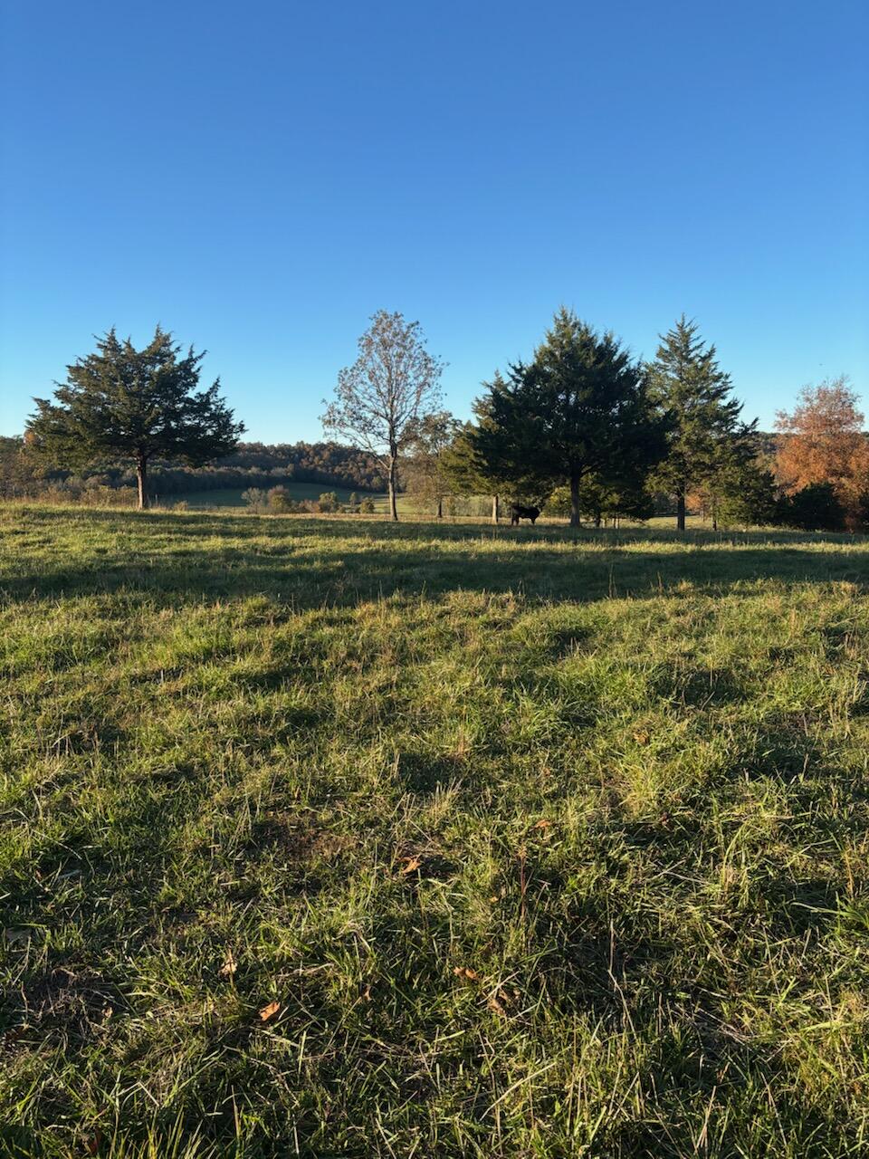 Hc 73 County Road 245 Property Photo 65