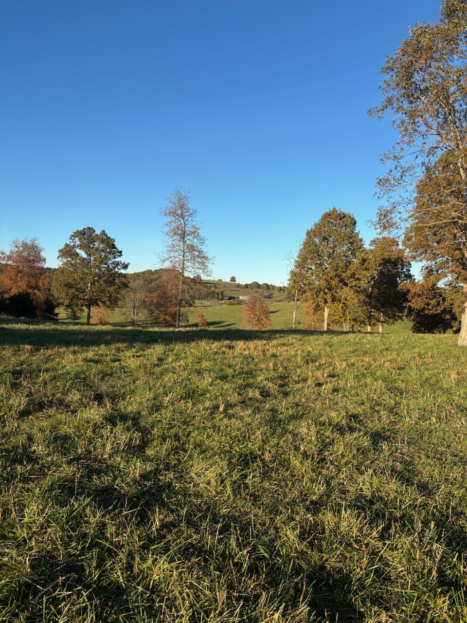 Hc 73 County Road 245 Property Photo 66