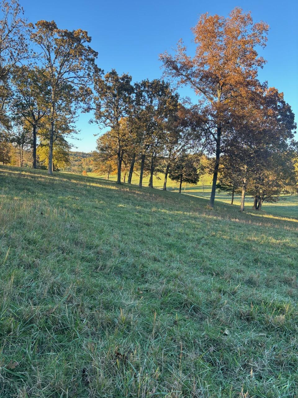Hc 73 County Road 245 Property Photo 70