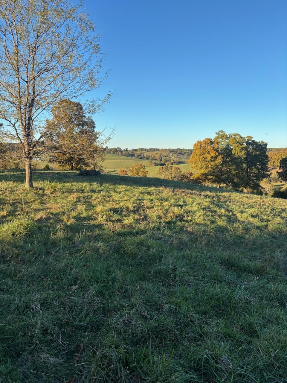 Hc 73 County Road 245 Property Photo 75