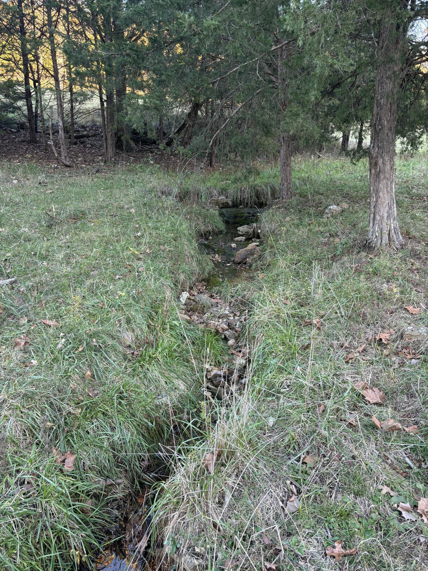 Hc 73 County Road 245 Property Photo 76