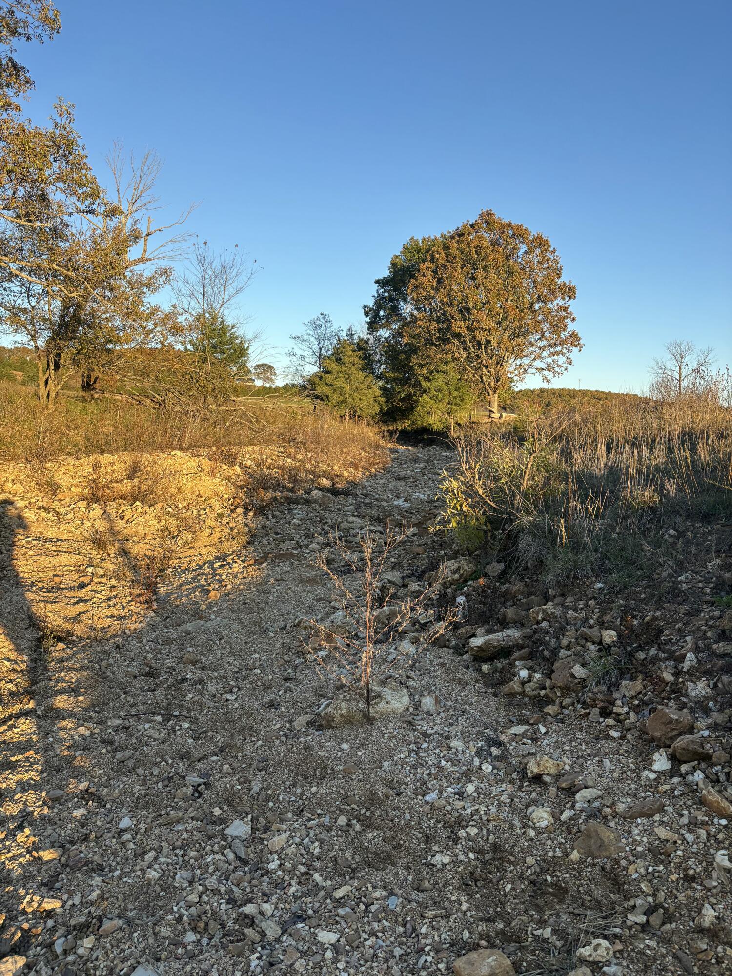 Hc 73 County Road 245 Property Photo 78