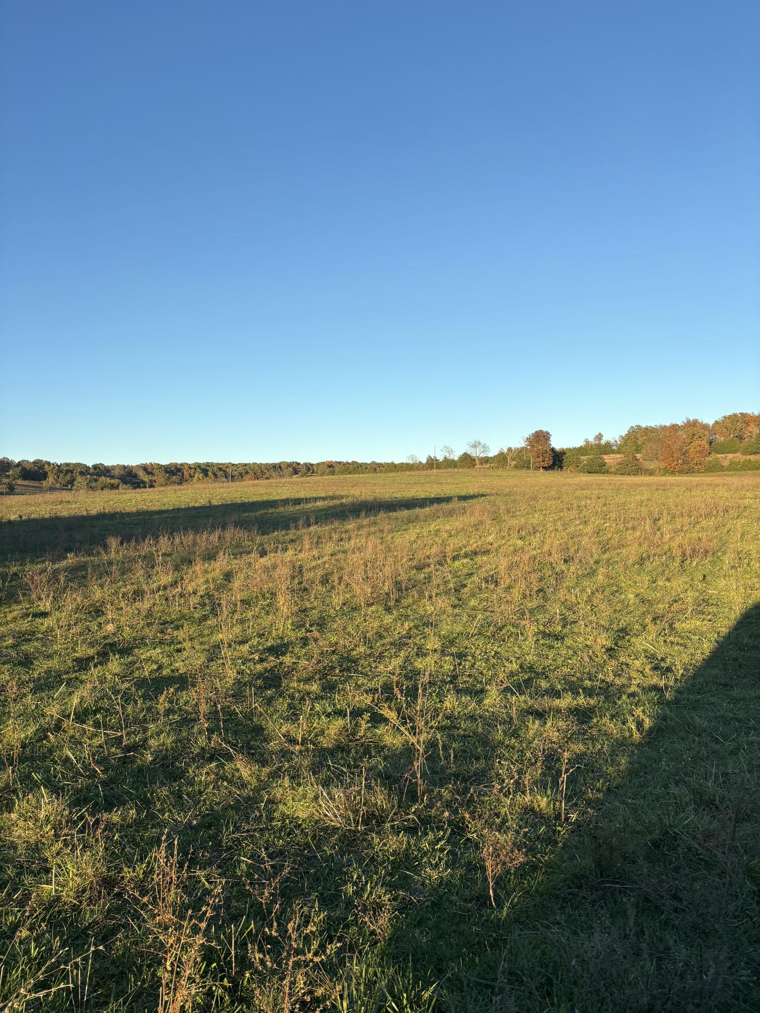 Hc 73 County Road 245 Property Photo 80