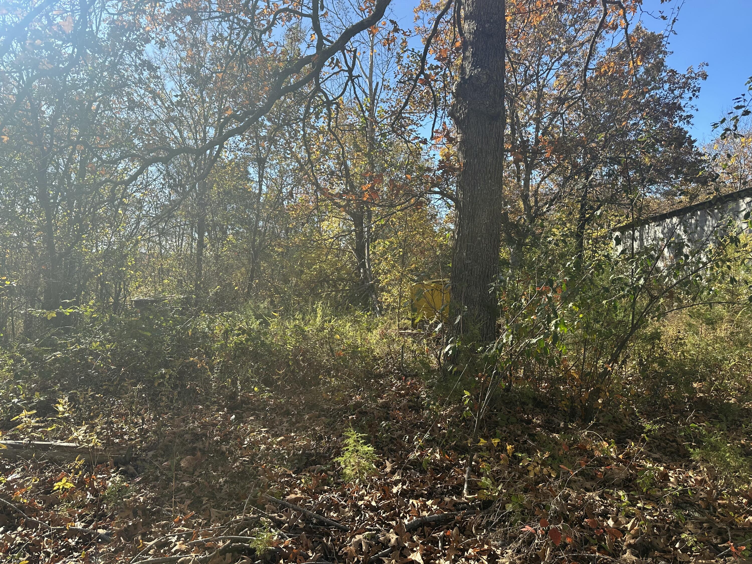 6659 State Highway 176 Property Photo 2