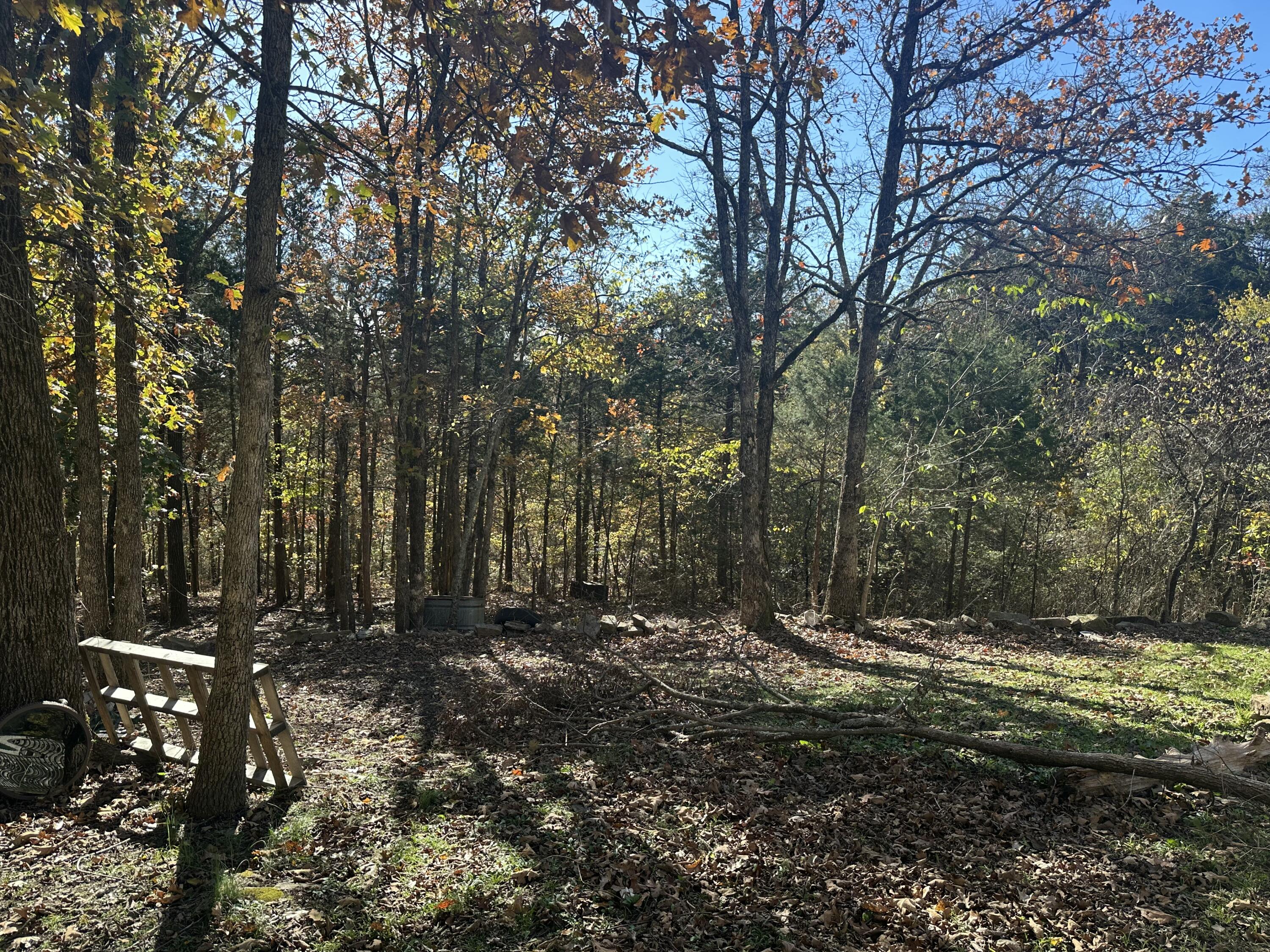6659 State Highway 176 Property Photo 7
