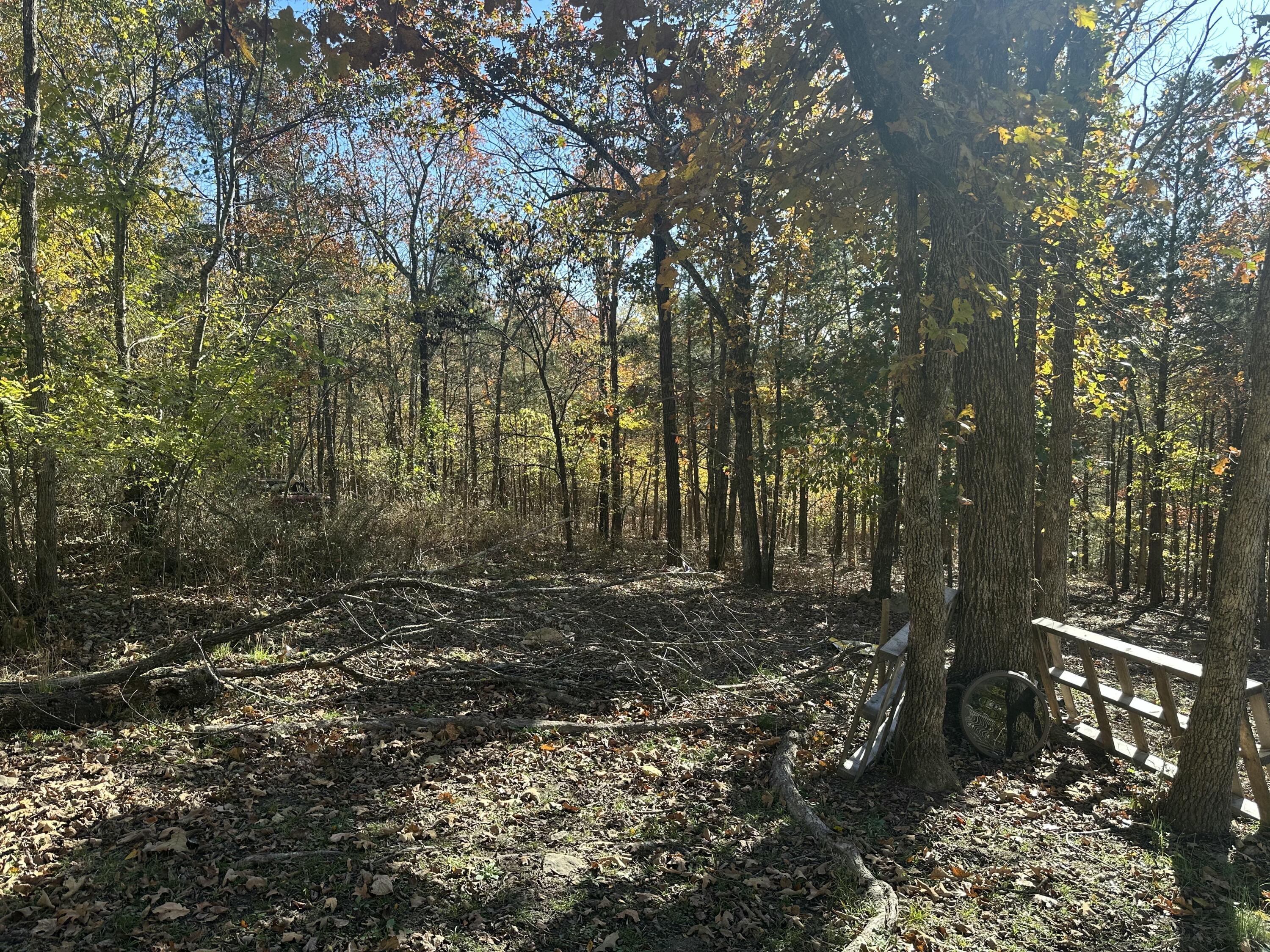 6659 State Highway 176 Property Photo 8